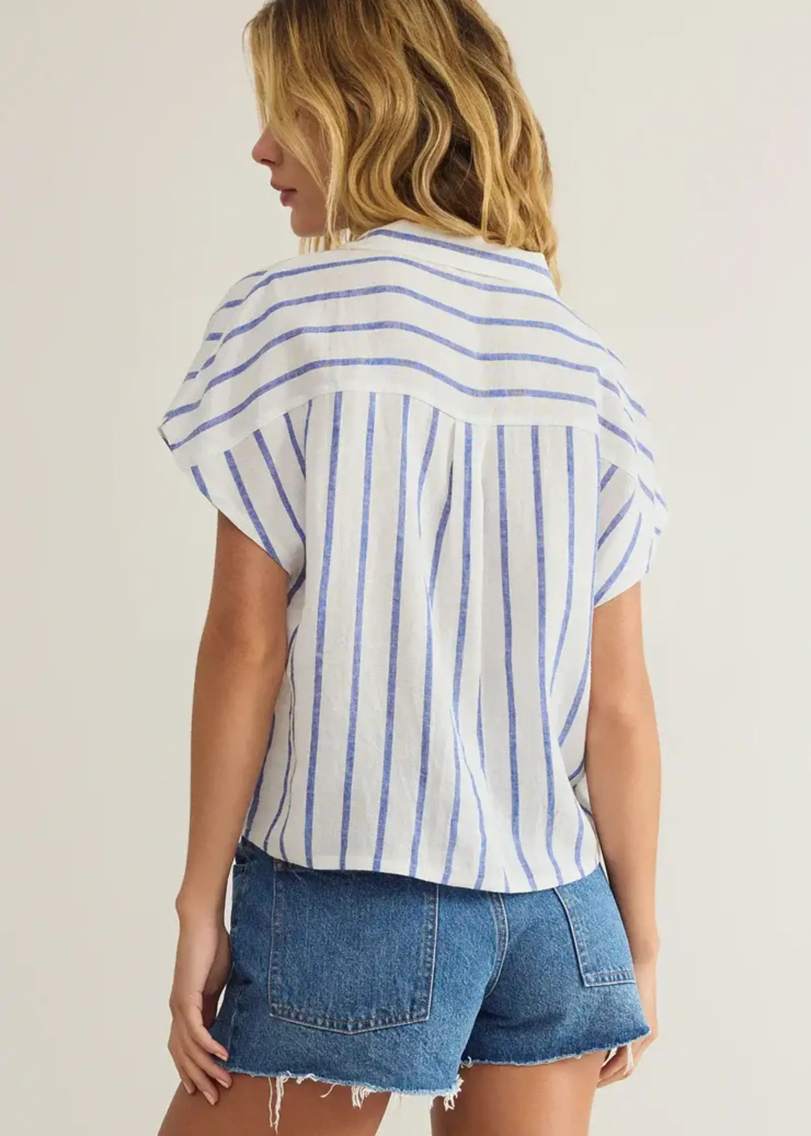 Z SUPPLY Parellel Button Down Top