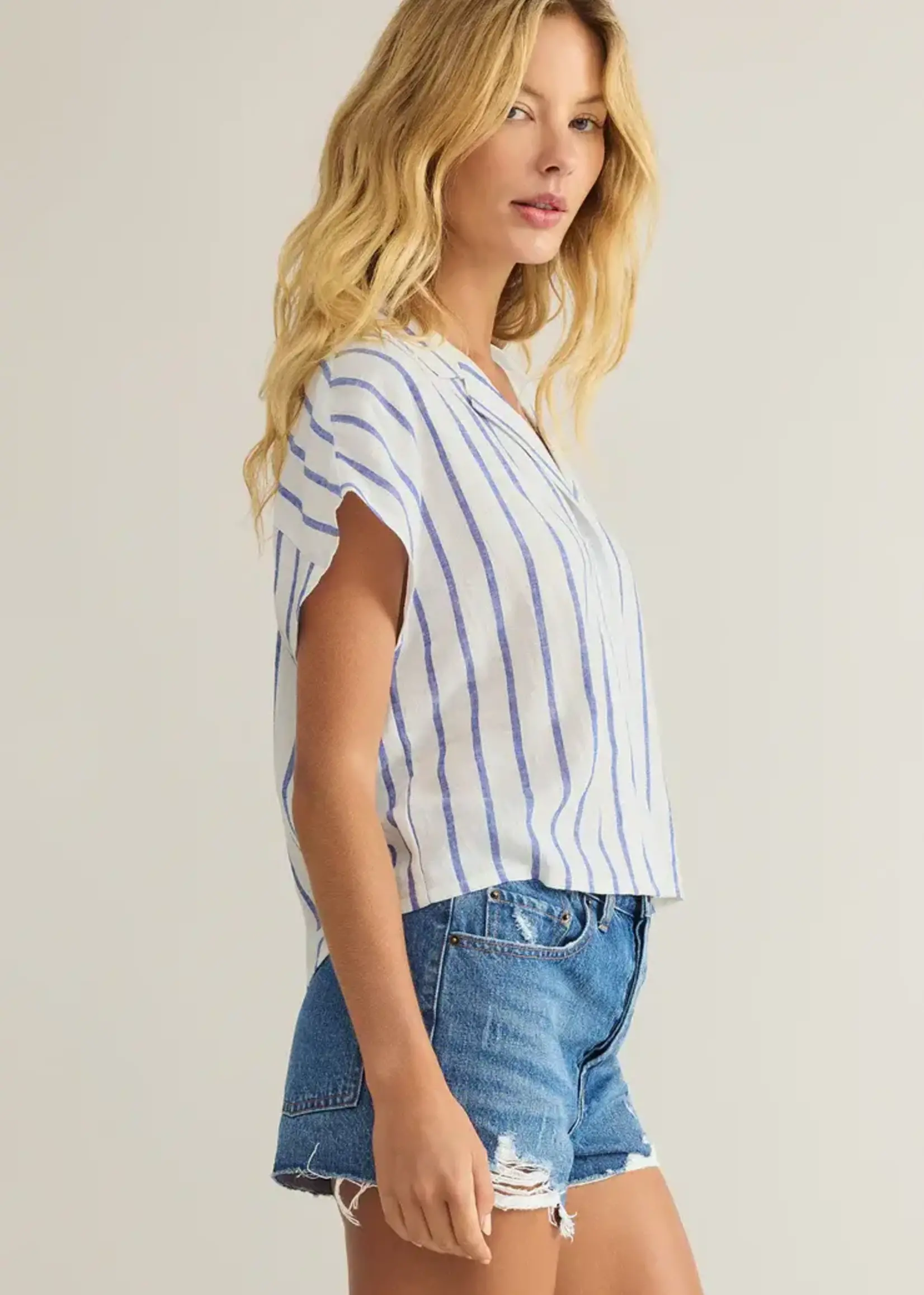 Z SUPPLY Parellel Button Down Top