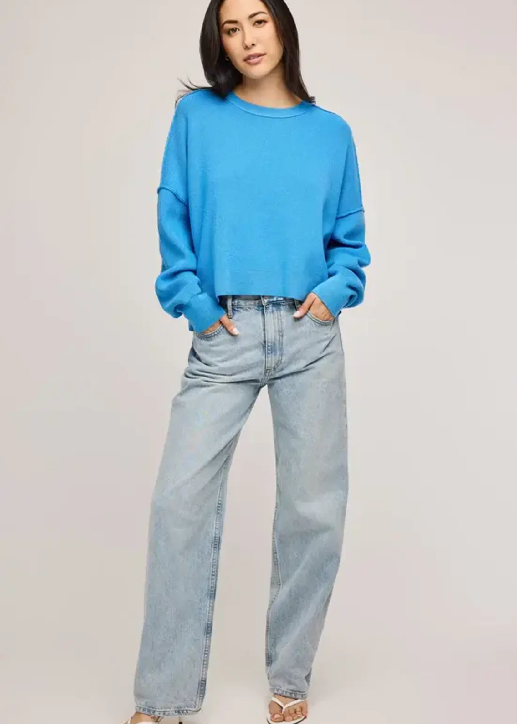 Gentle Fawn Echo Pullover Sweater
