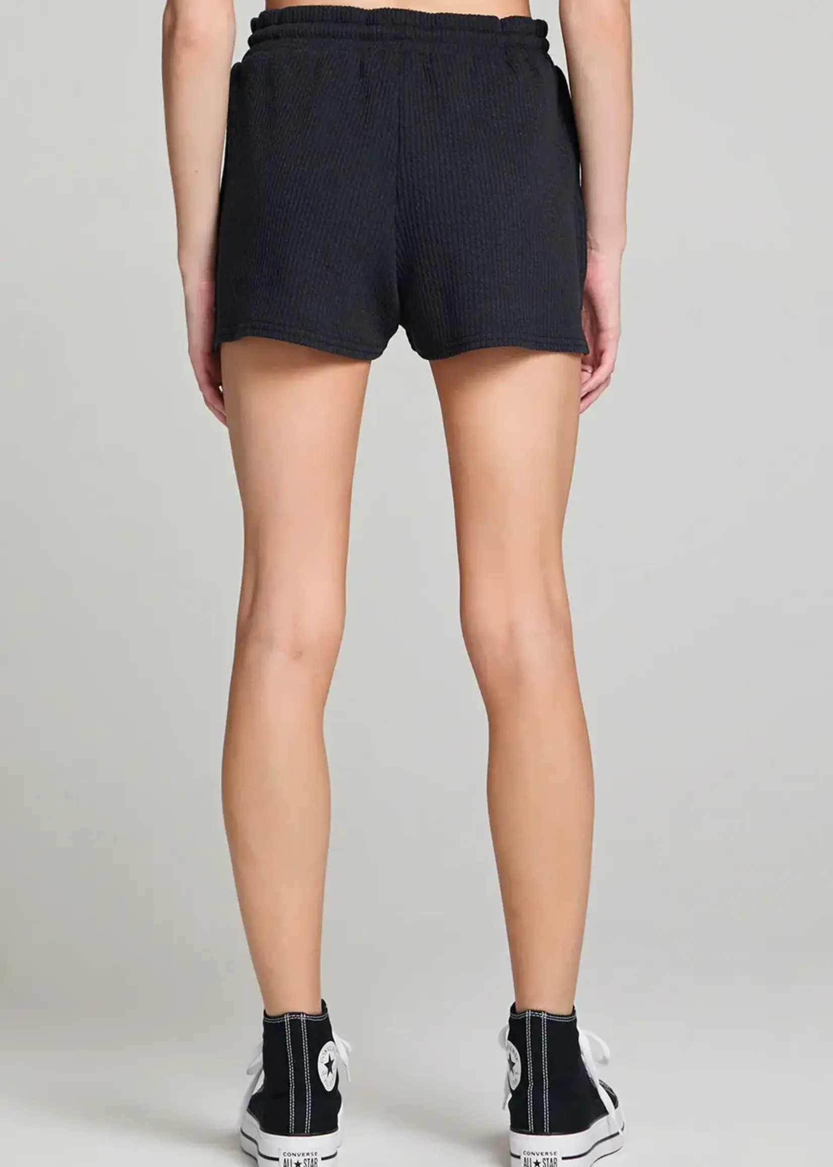 Saltwater Luxe Pull On Shorts