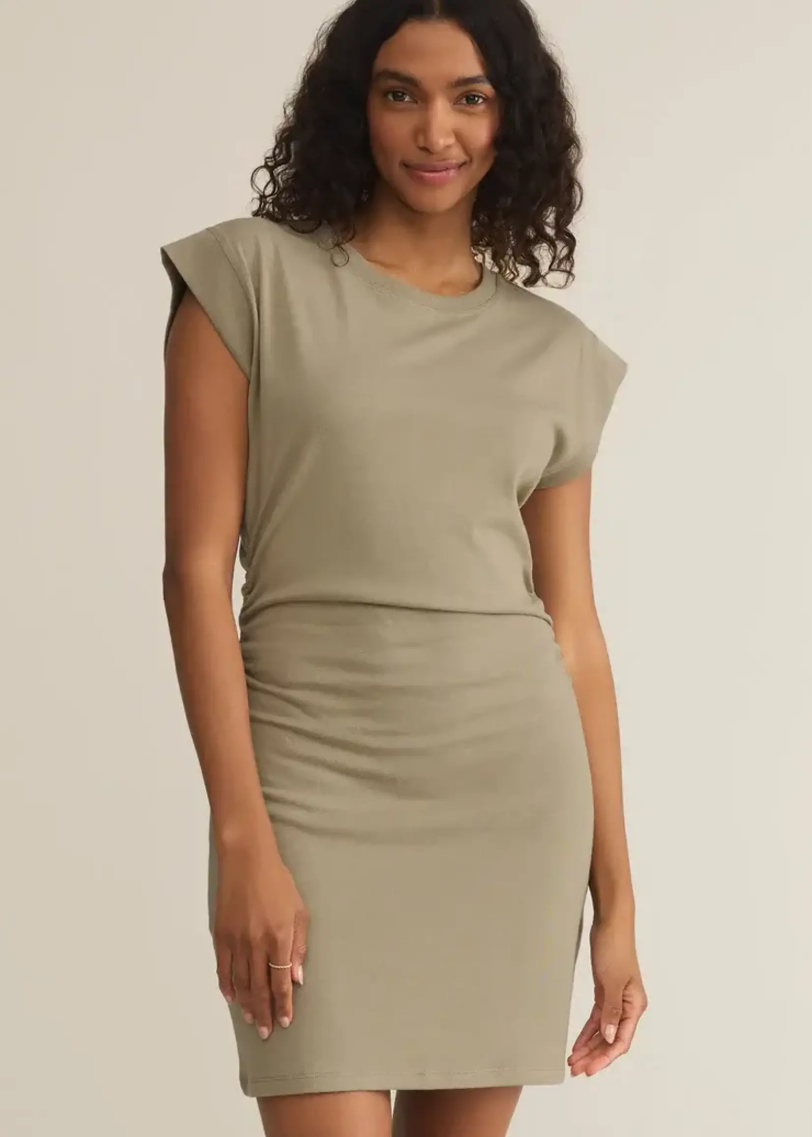 Z SUPPLY Camino Mini Dress