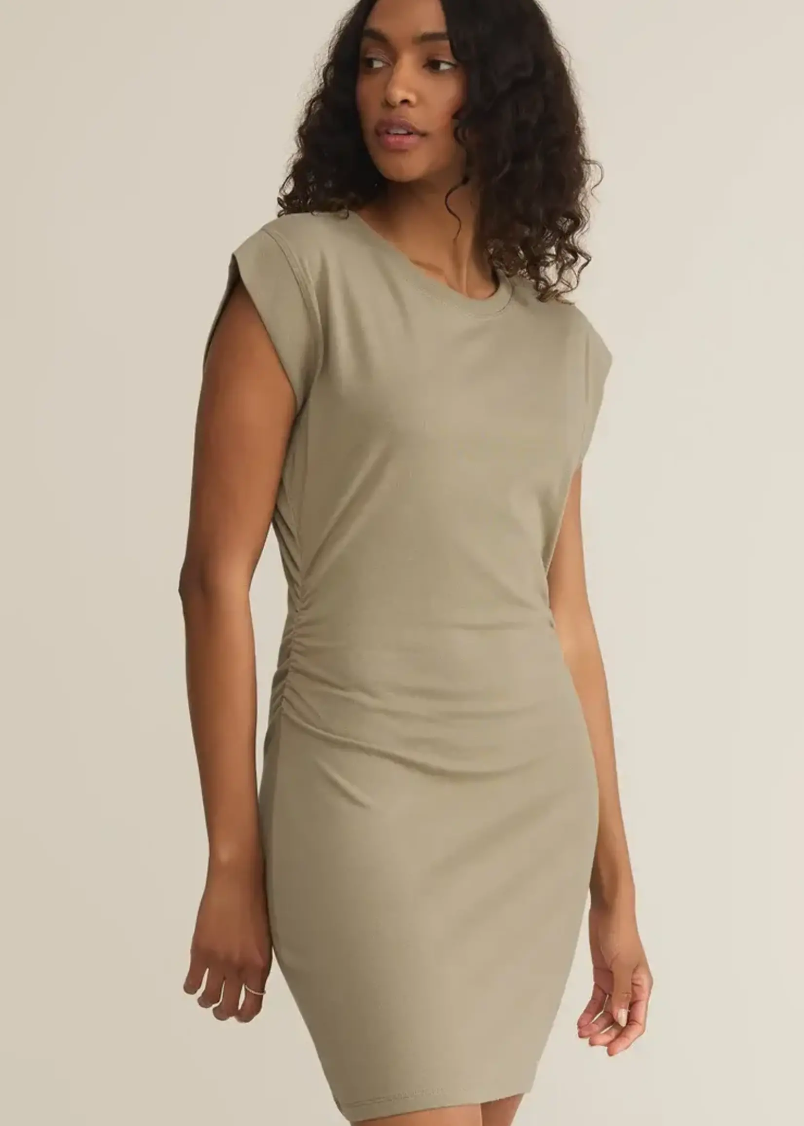 Z SUPPLY Camino Mini Dress