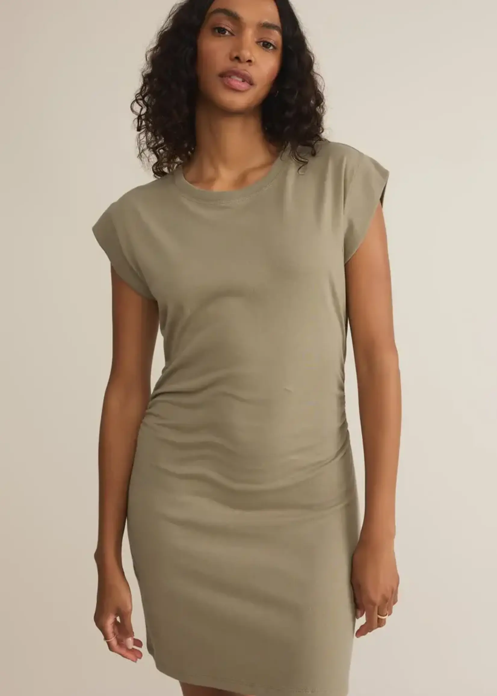 Z SUPPLY Camino Mini Dress