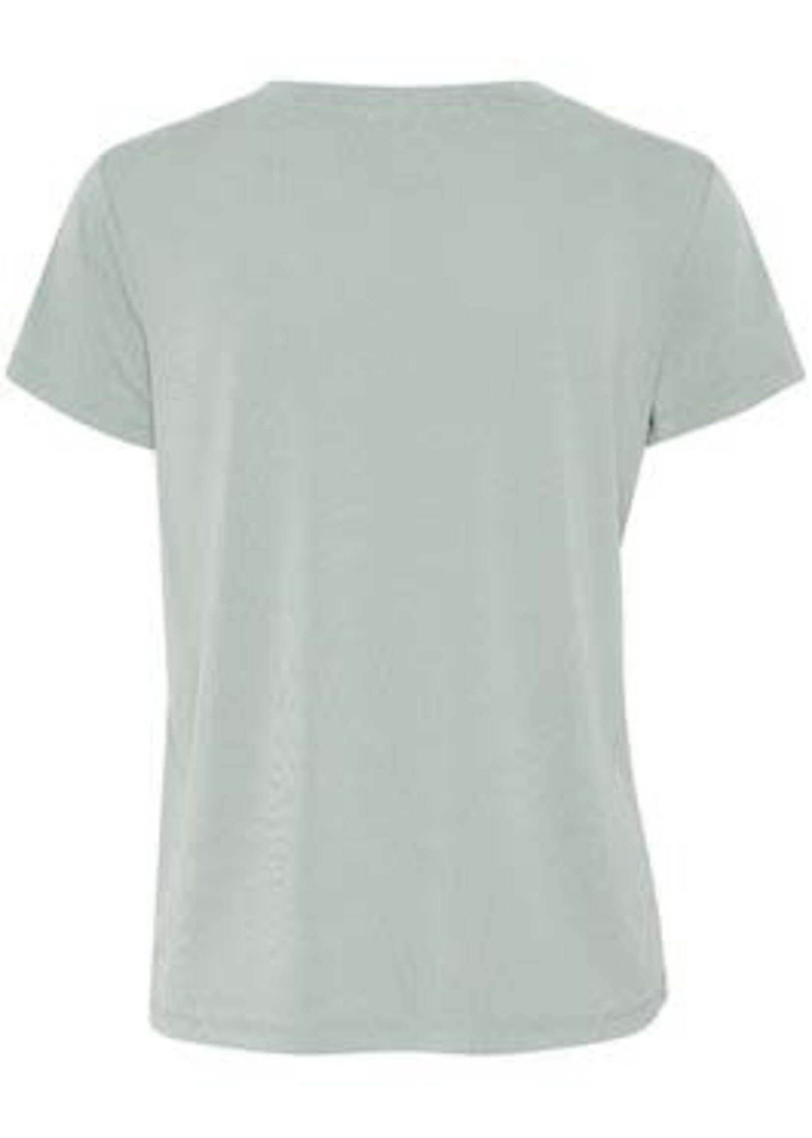 Soaked in Luxury Columbine V-Neck Tee