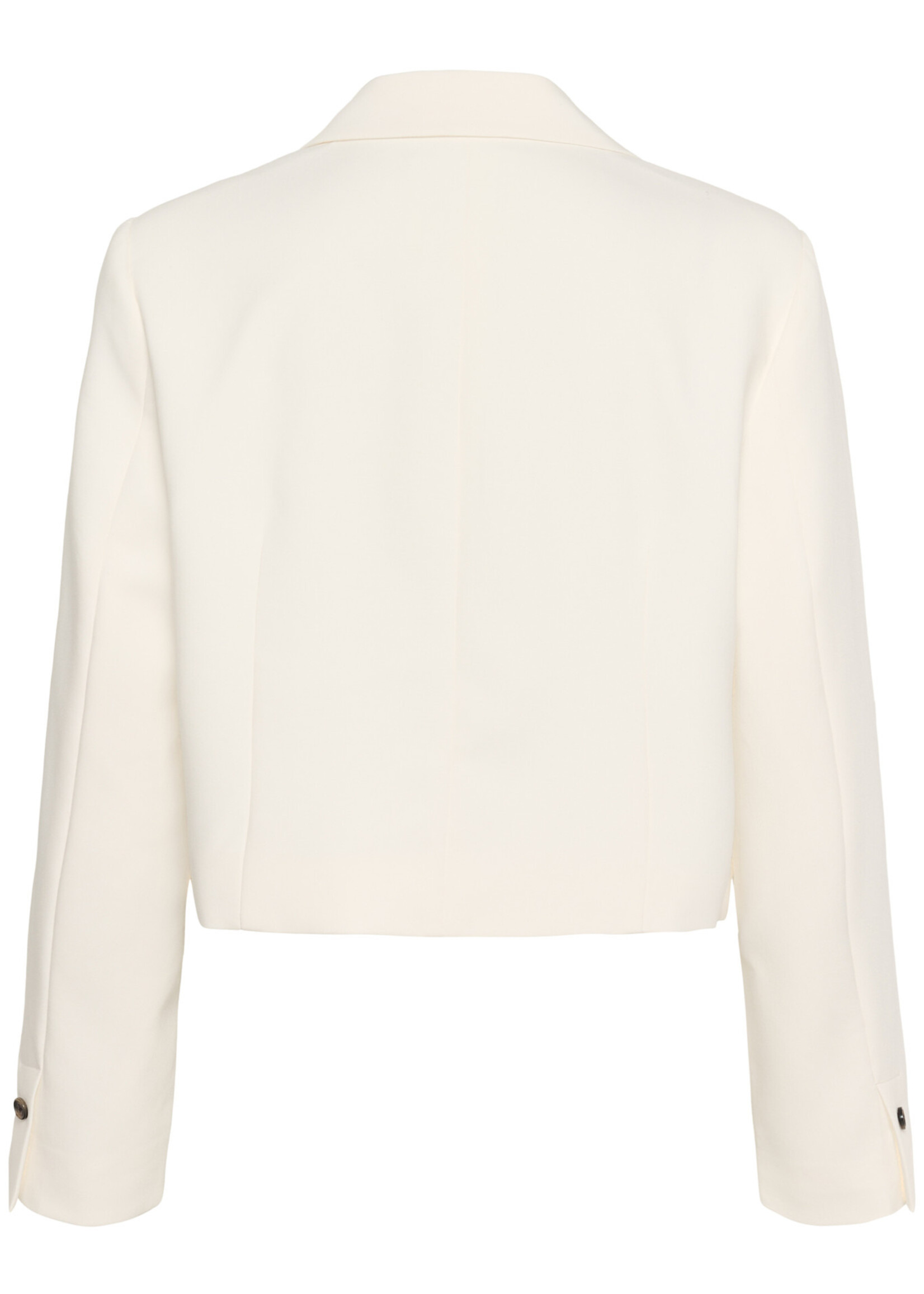Soaked in Luxury Corinne Cropped Blazer