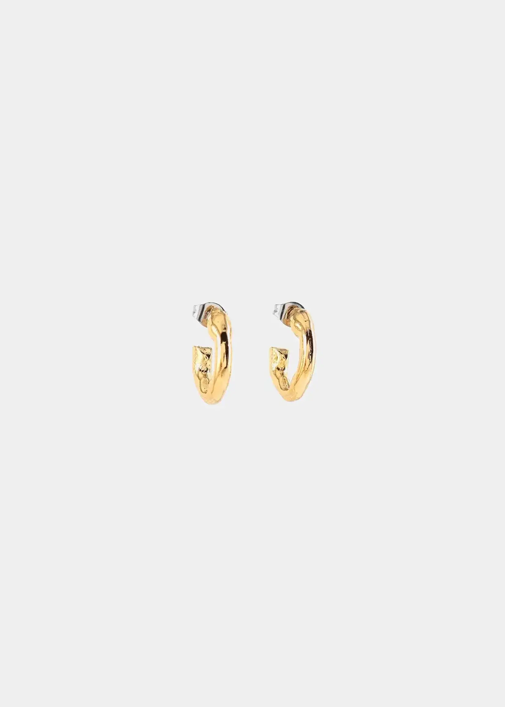 Anne-Marie Chagnon Fornax Gold Earrings