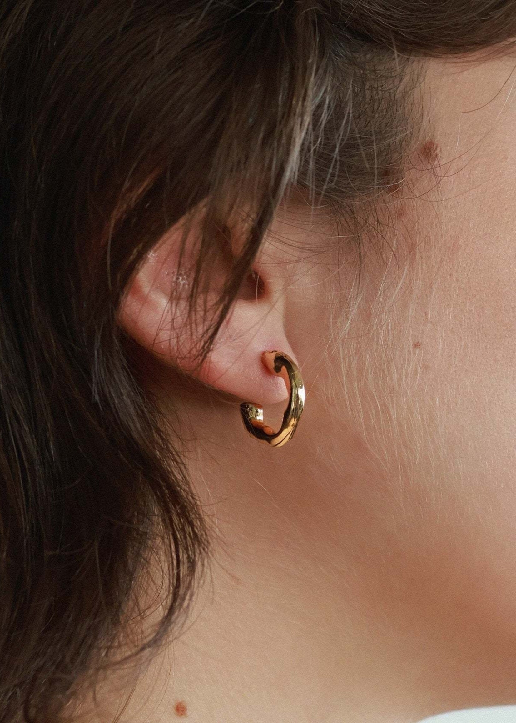 Anne-Marie Chagnon Fornax Gold Earrings