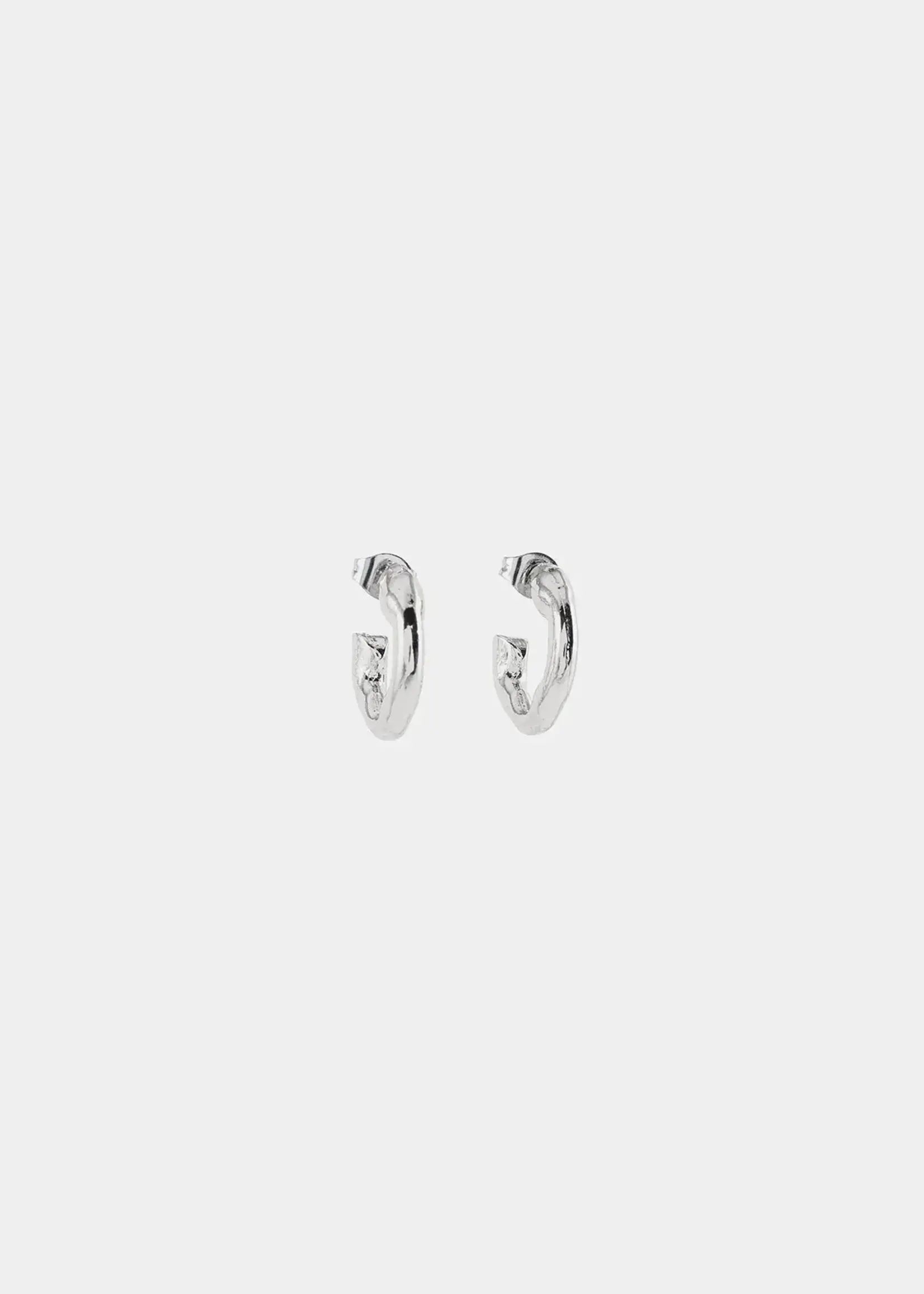 Anne-Marie Chagnon Fornax Silver Earrings