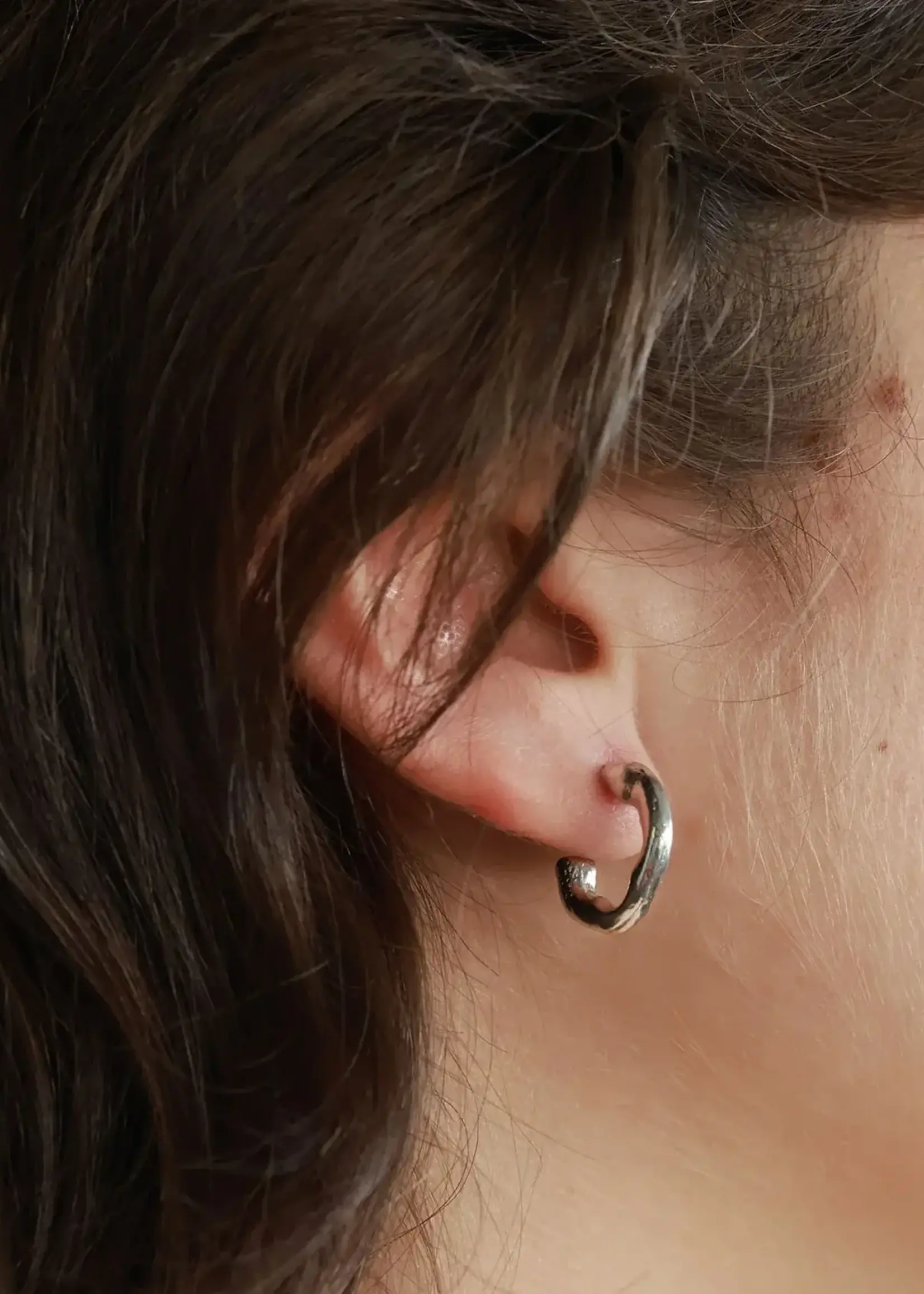Anne-Marie Chagnon Fornax Silver Earrings
