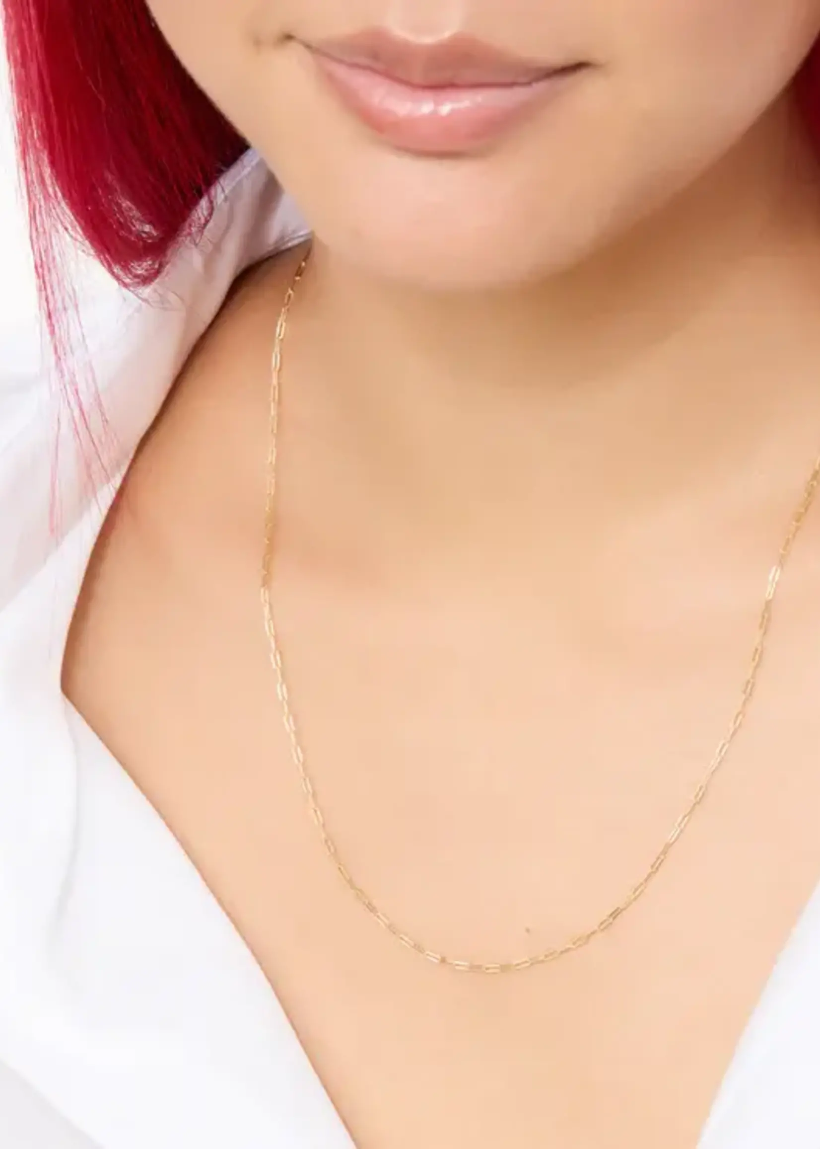 Hillberg & Berk Essential Clip Chain Necklace