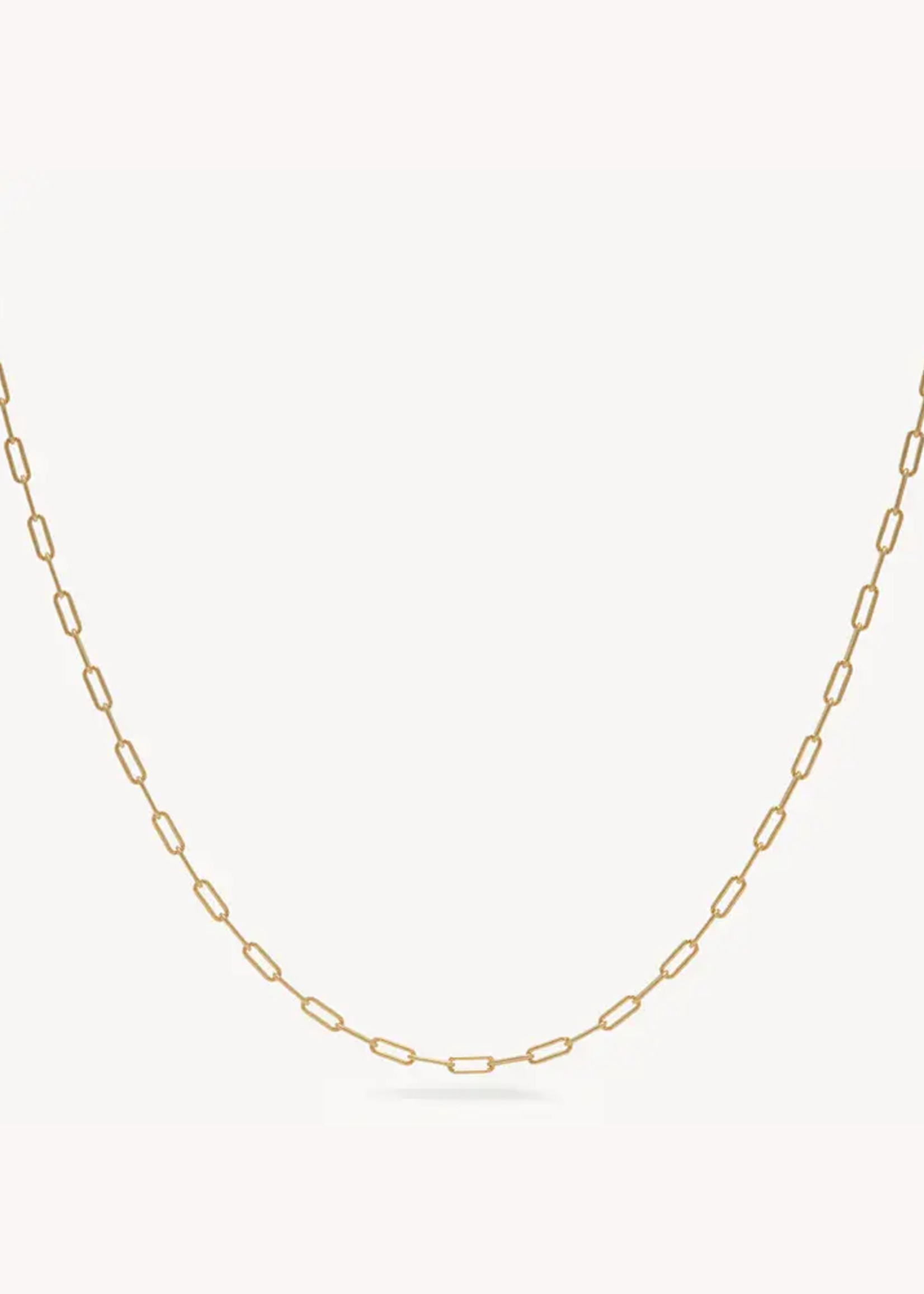 Hillberg & Berk Essential Clip Chain Necklace