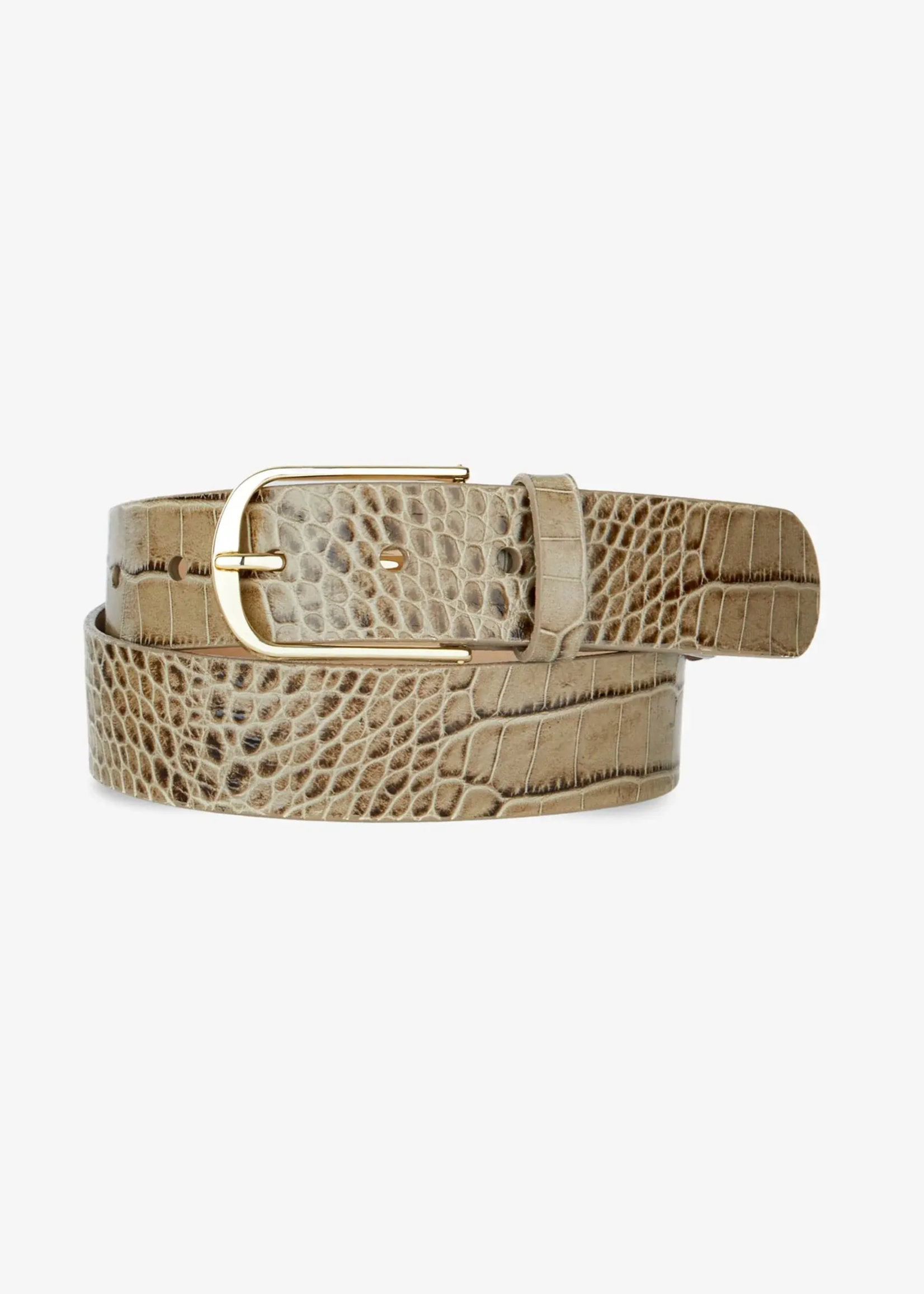 BRAVE Leather Brayan Barcelona Belt