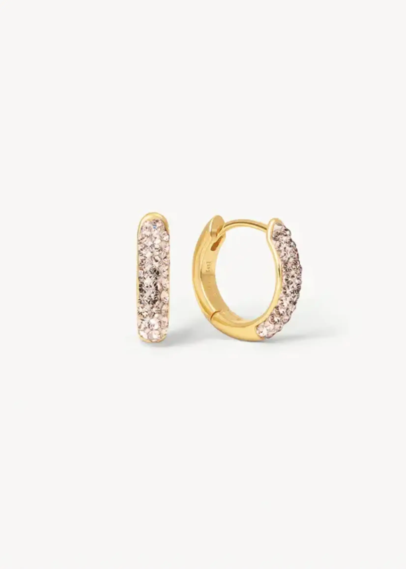 Hillberg & Berk Champagne Always On Sparkle Hoop Earring