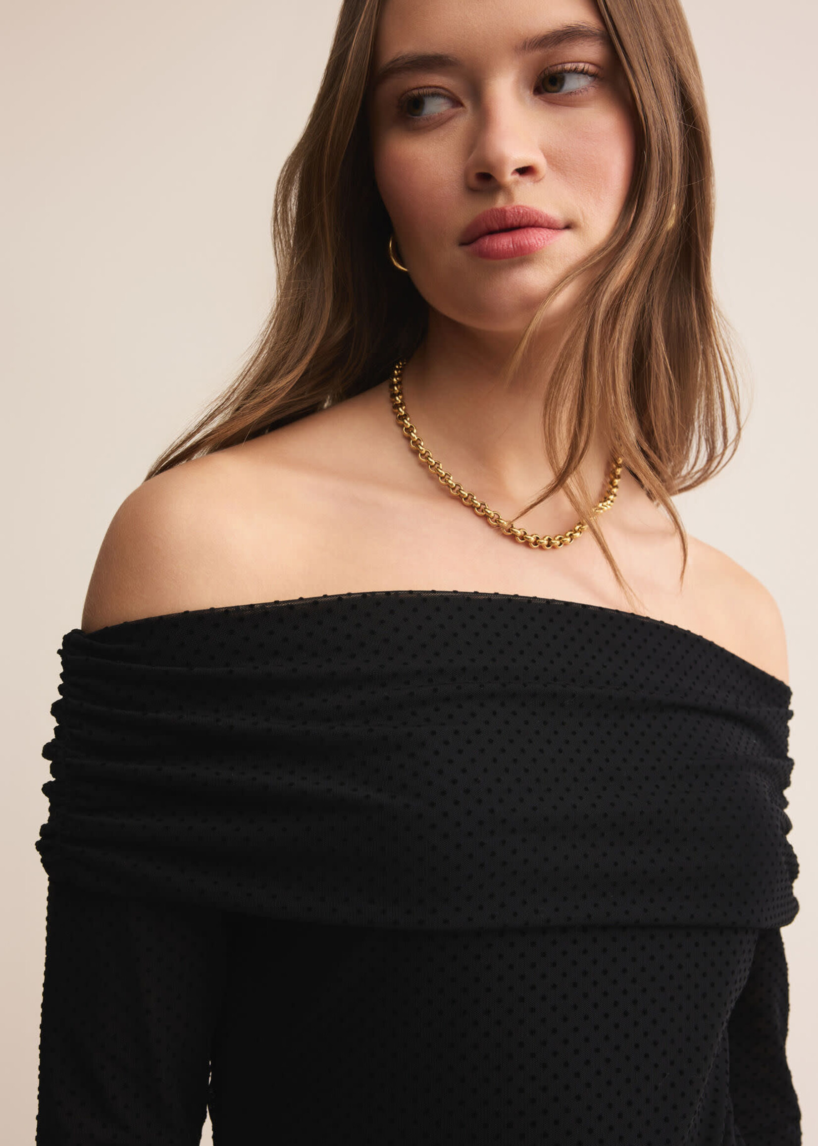 Z SUPPLY Whimsy Off Shoulder Mesh Top