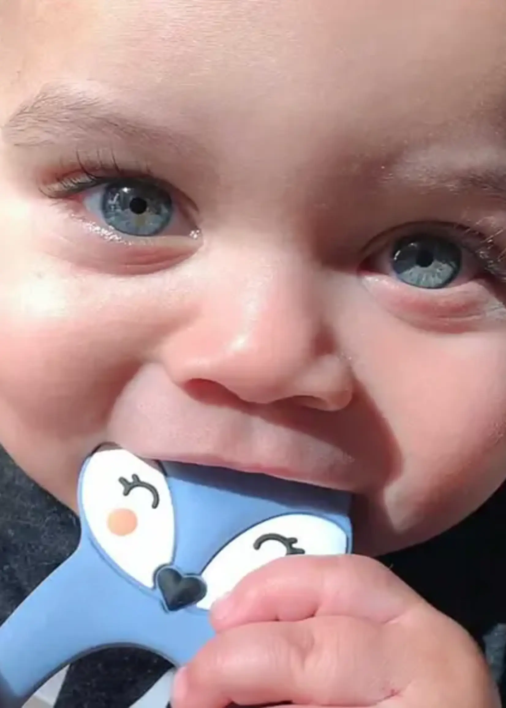 Little Cheeks FOX Teether & Clip