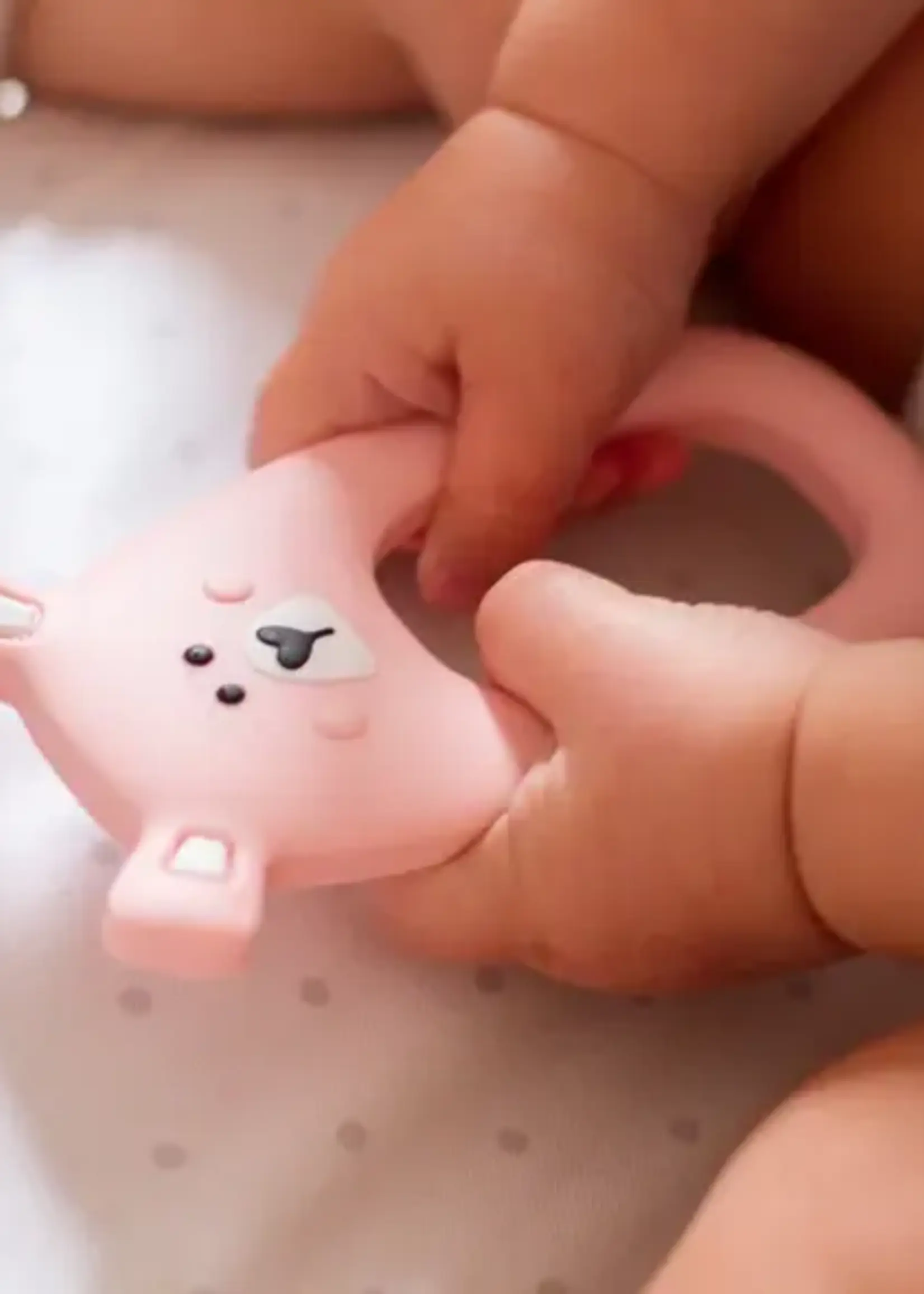 Little Cheeks BEAR Teether & Clip