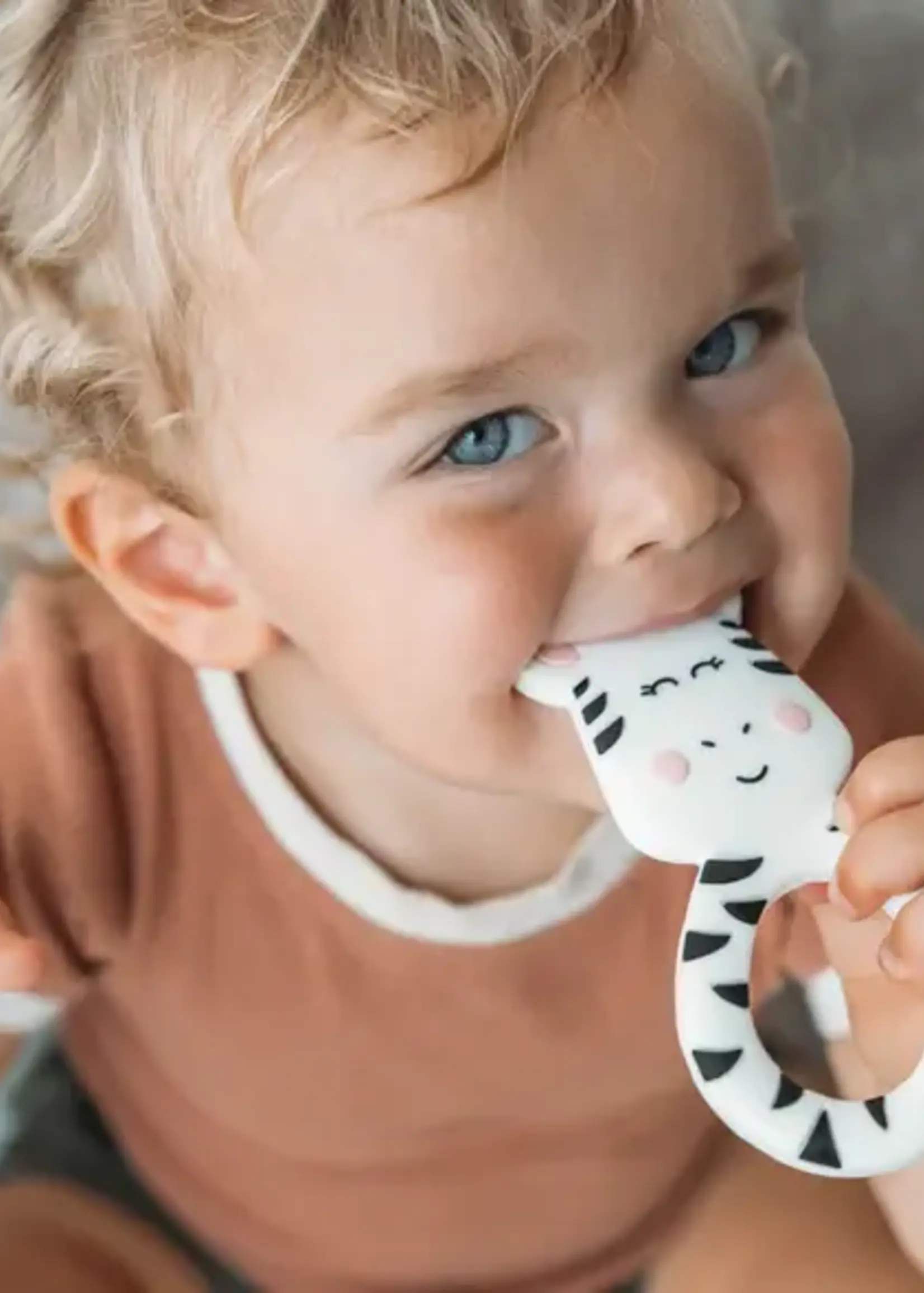 Little Cheeks ZEBRA Teether