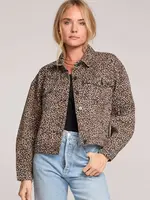 Saltwater Luxe Analyse Jacket
