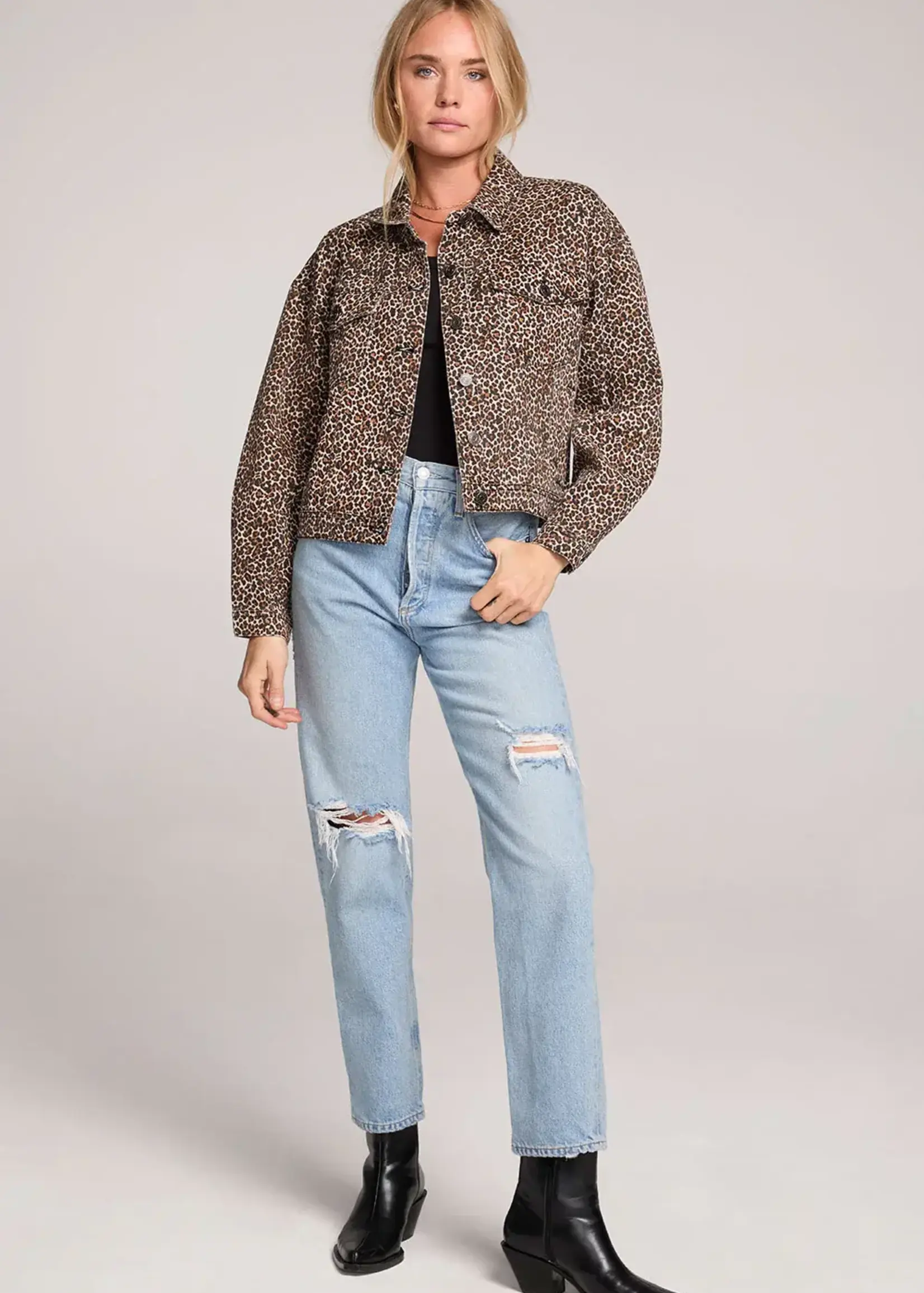 Saltwater Luxe Analyse Jacket