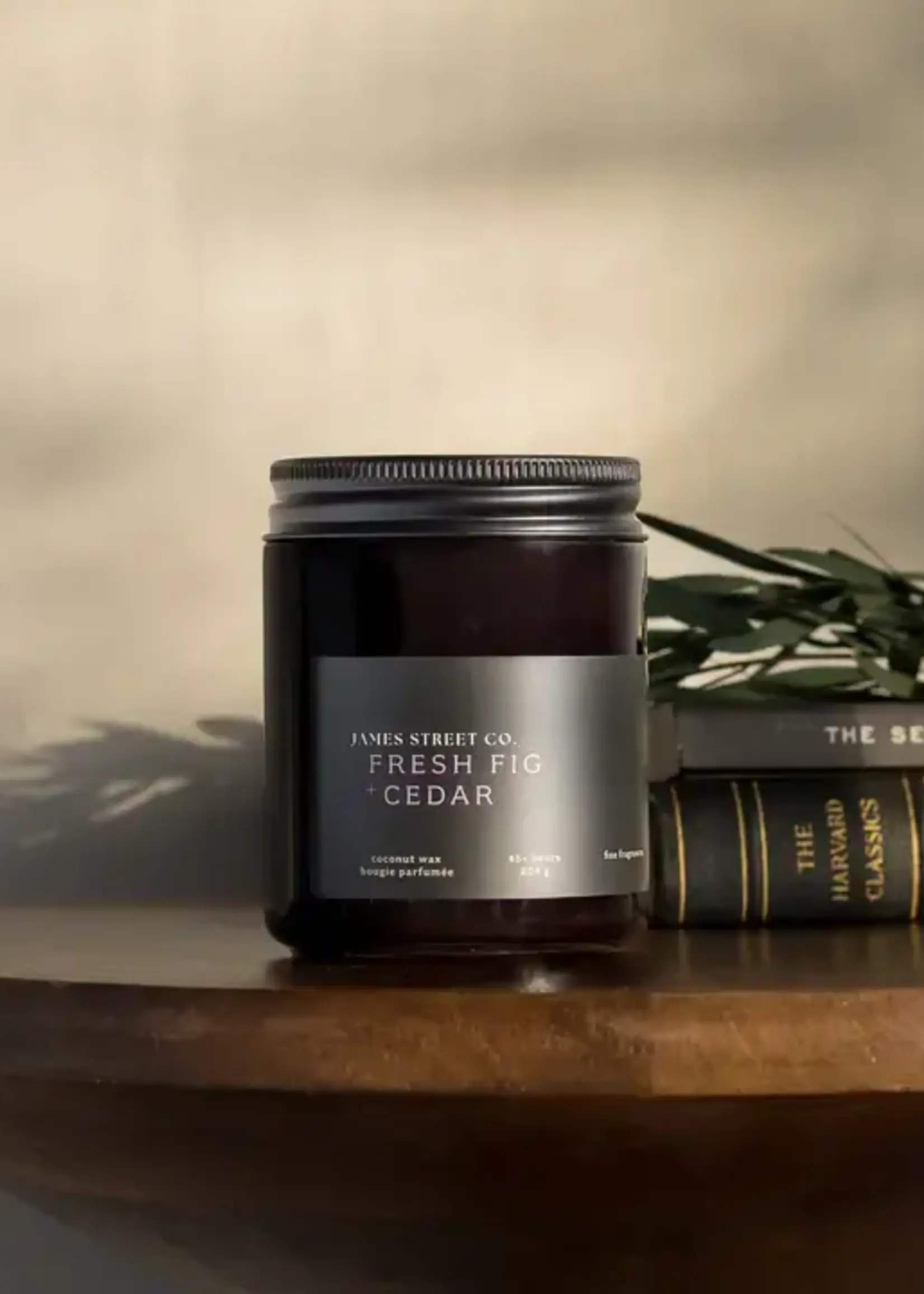 James Street Co. FRESH FIG + CEDAR Candle
