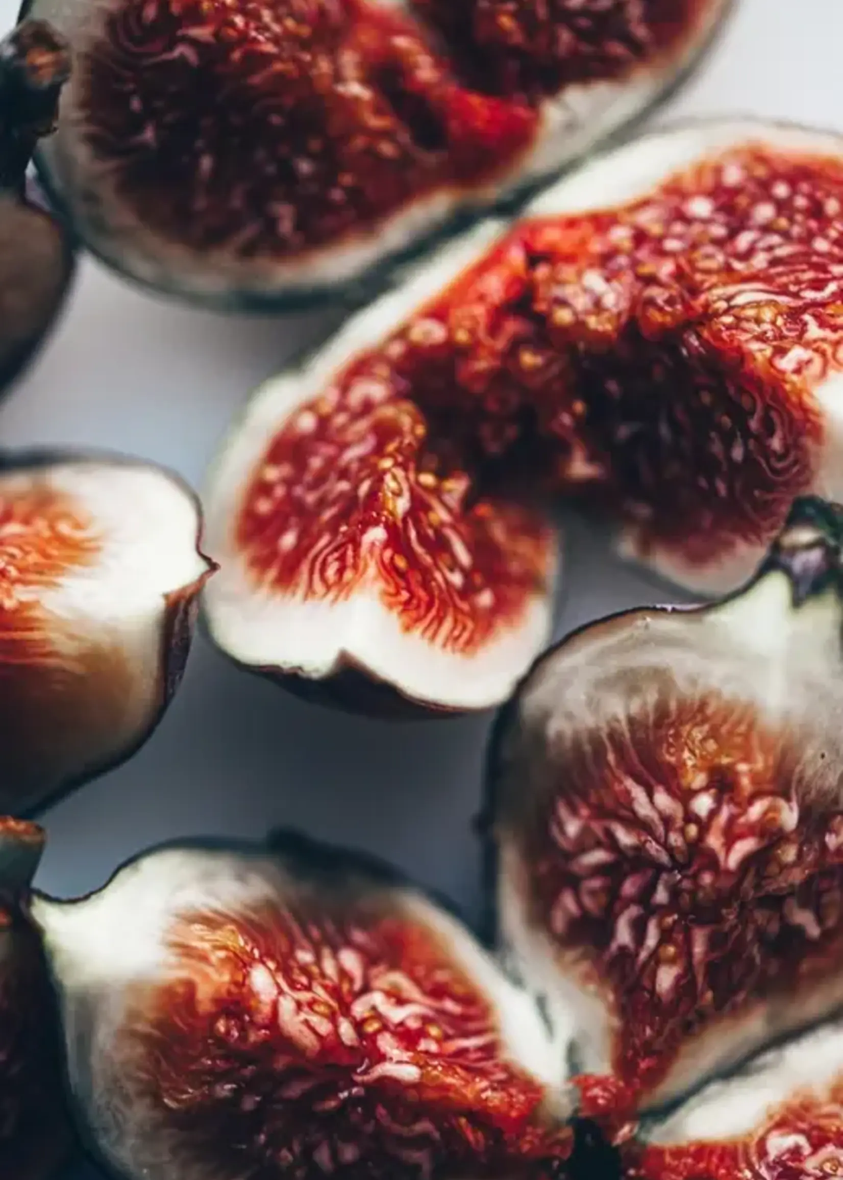 James Street Co. FRESH FIG + CEDAR Candle