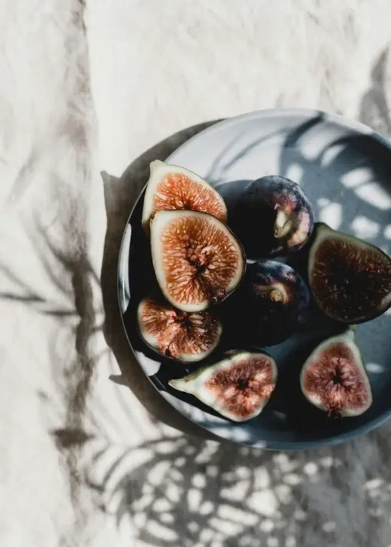 James Street Co. FRESH FIG + CEDAR Candle