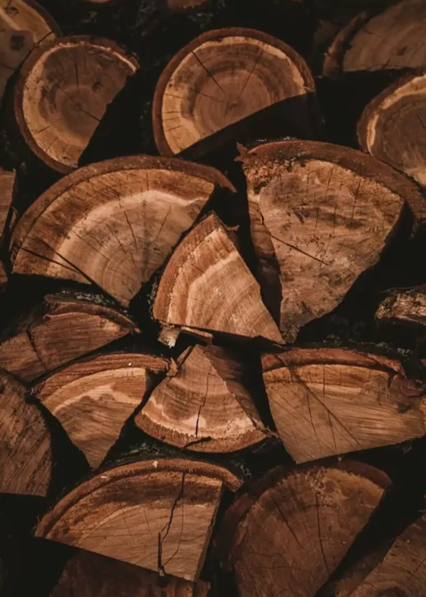 James Street Co. FRESH FIG + CEDAR Candle