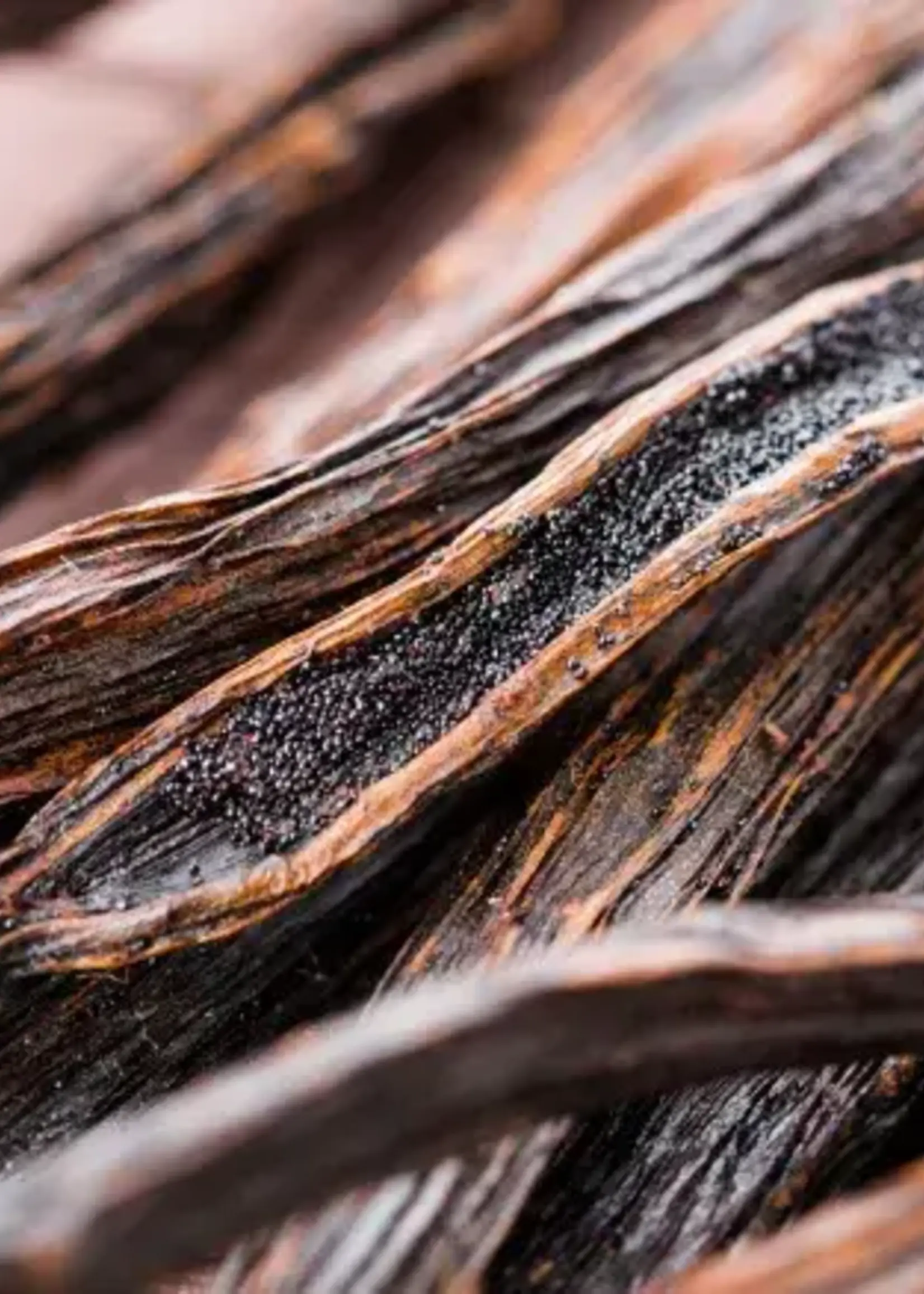 James Street Co. AUTUMN EVENING Candle