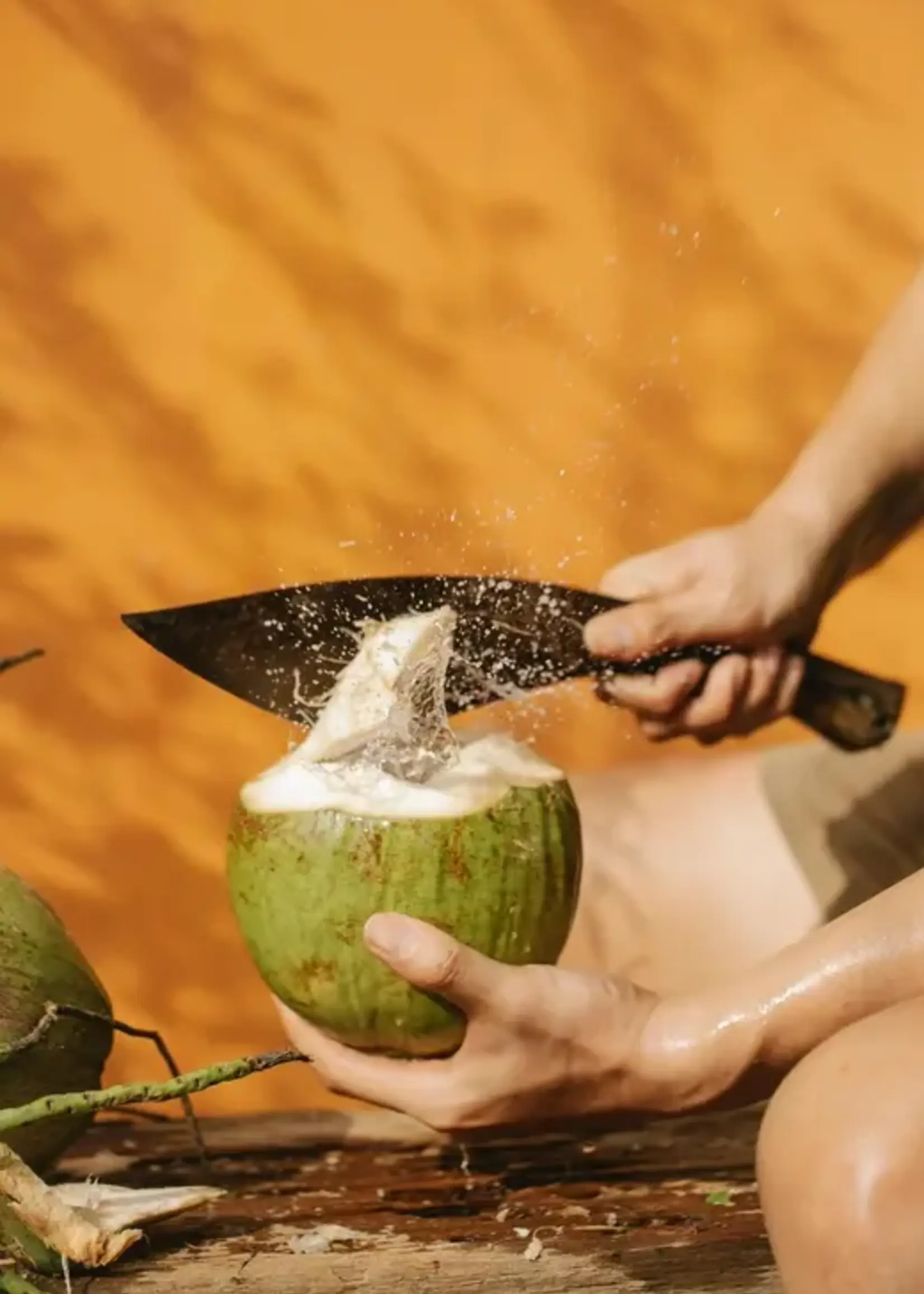 James Street Co. CASSIS + GREEN COCONUT Room + Linen Spray