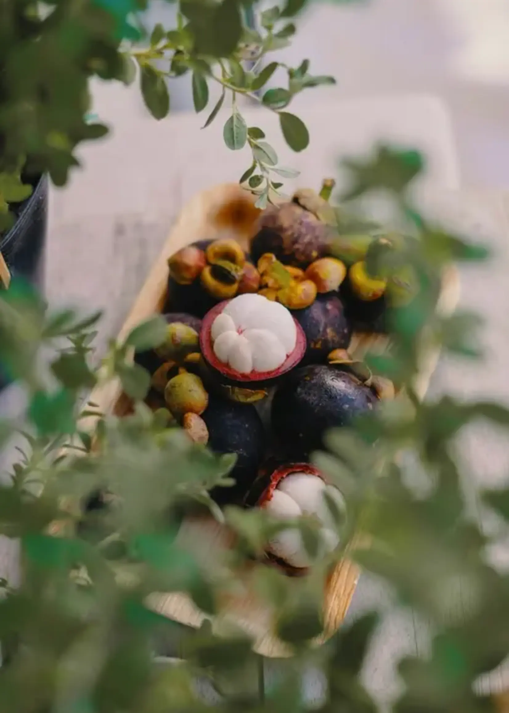 James Street Co. CASSIS + GREEN COCONUT Room + Linen Spray