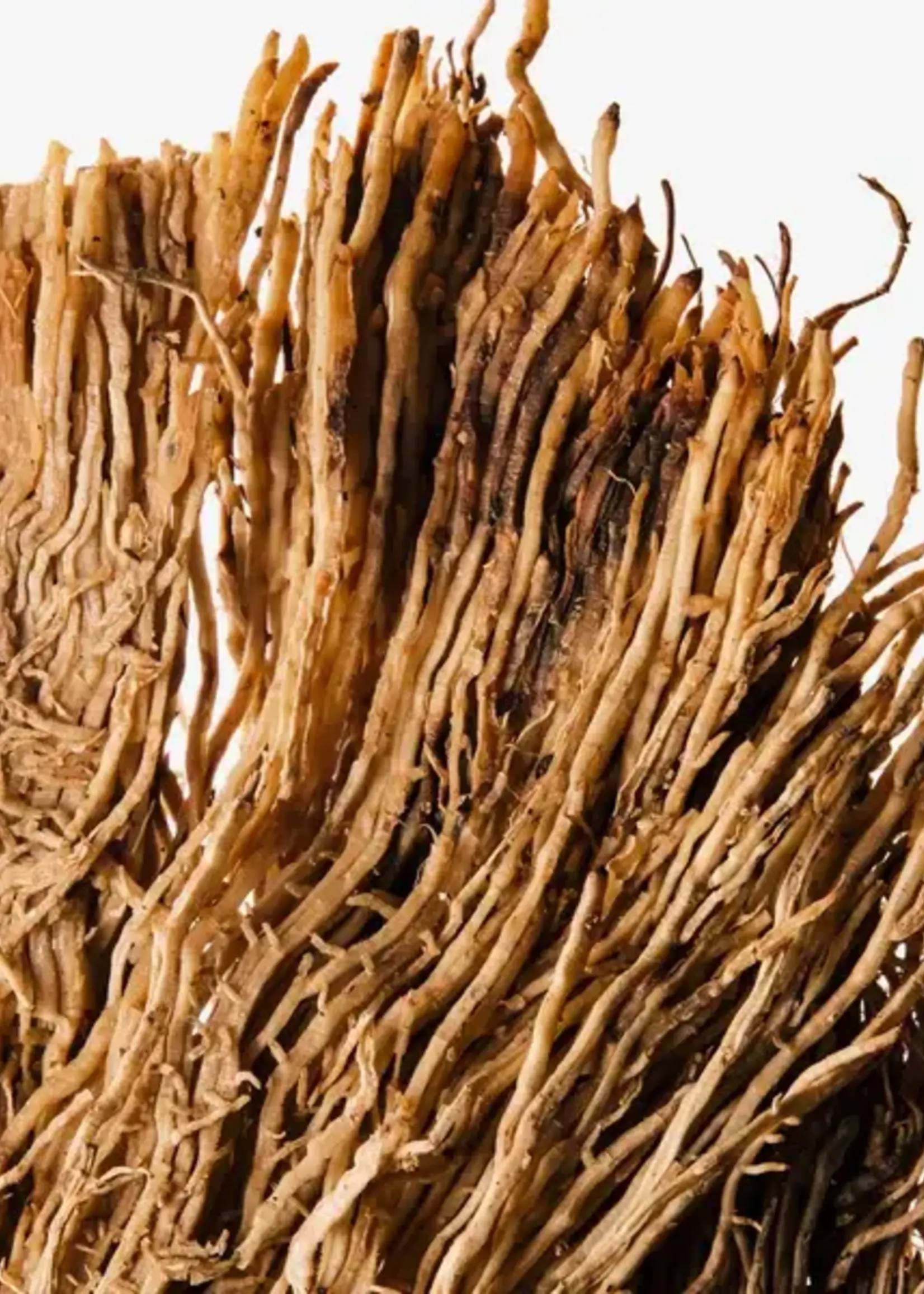 James Street Co. BLACK VIOLET + BLONDE WOODS Candle