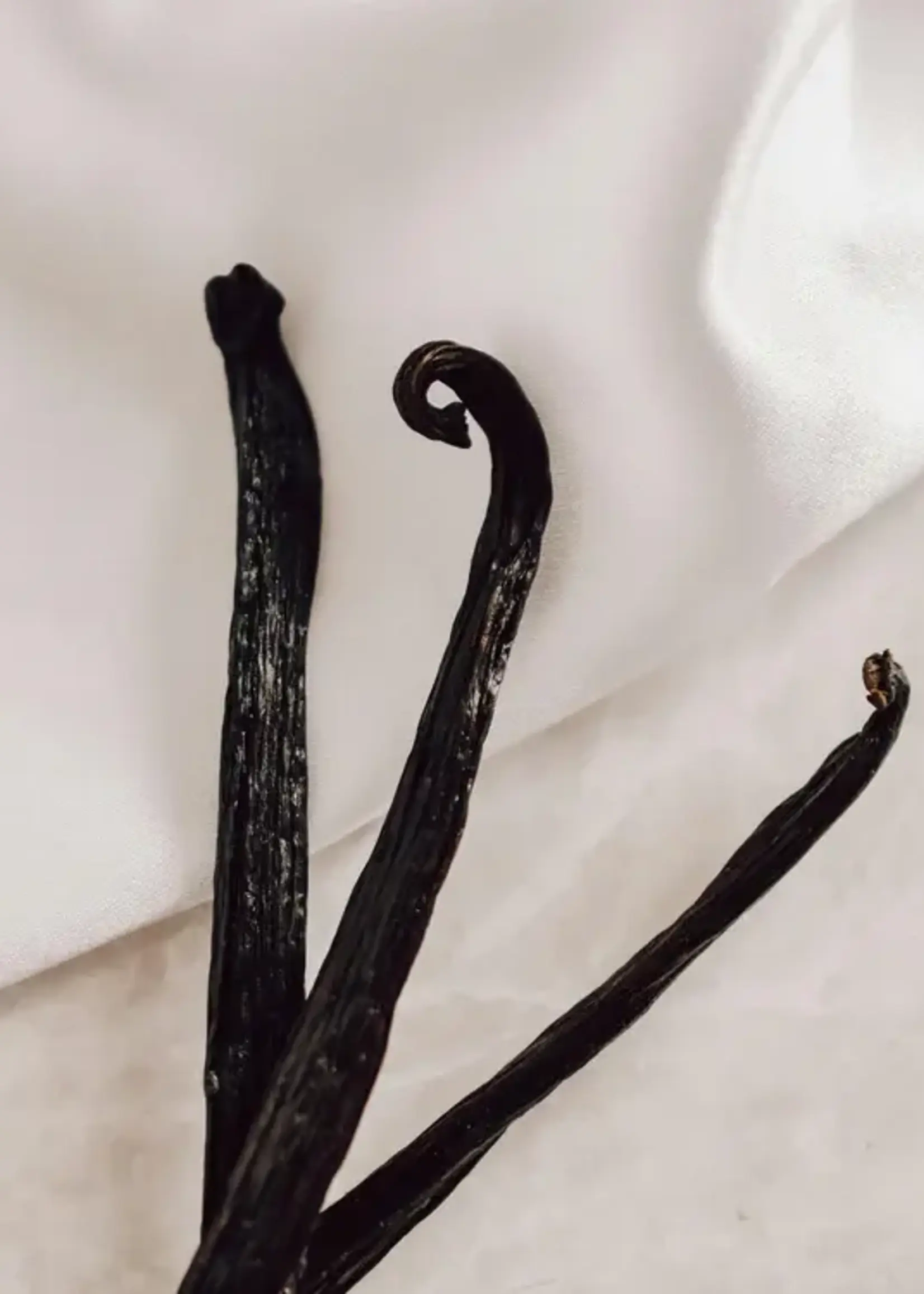 James Street Co. CITRON + OLIVE LEAF Reed Diffuser