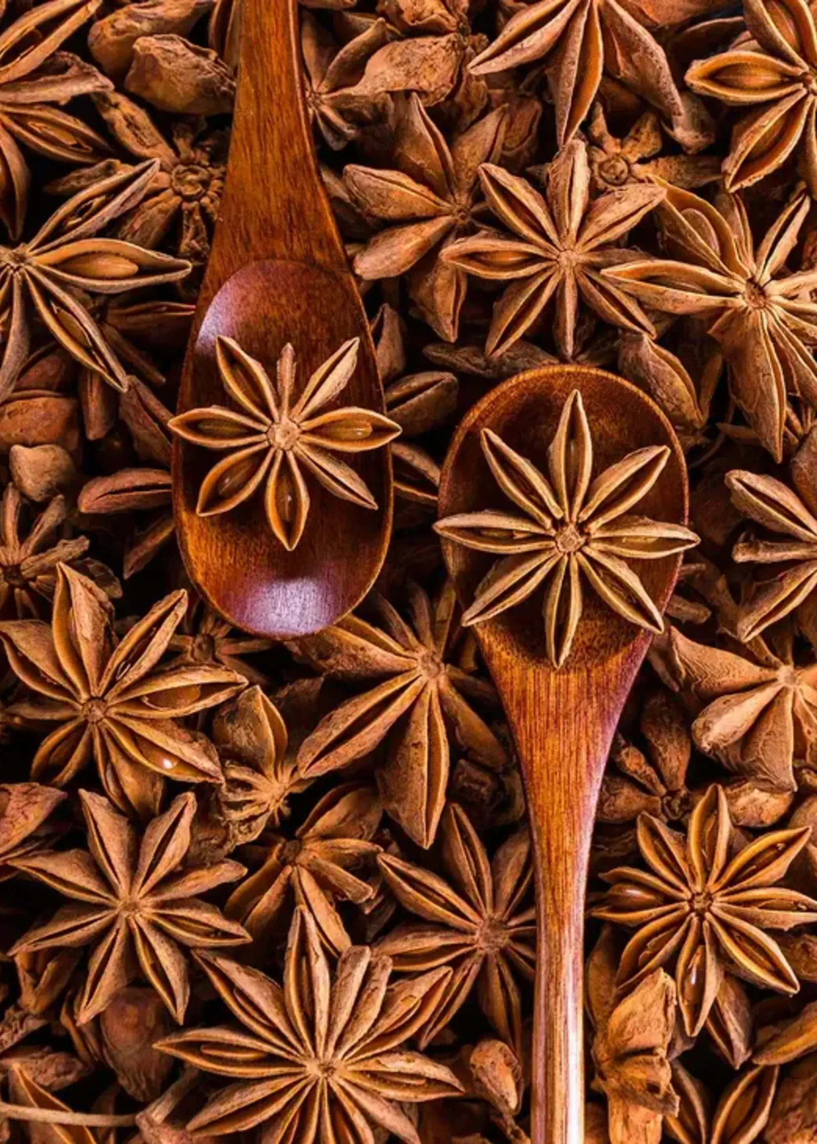 James Street Co. ORANGE NOIR Candle