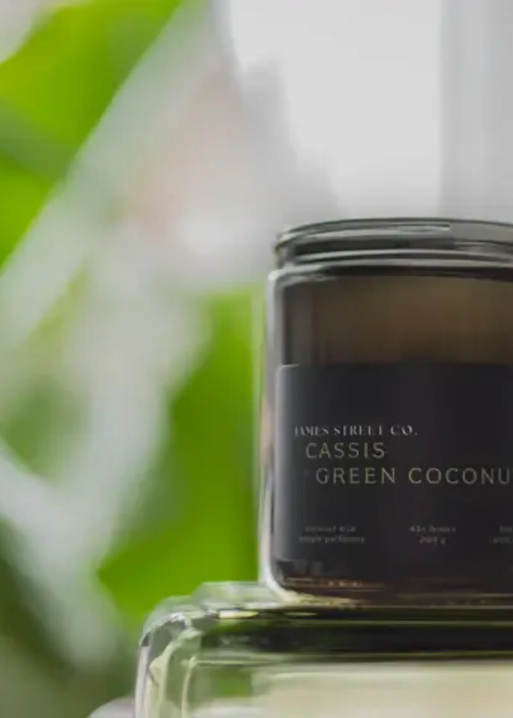 James Street Co. CASSIS + GREEN COCONUT Candle