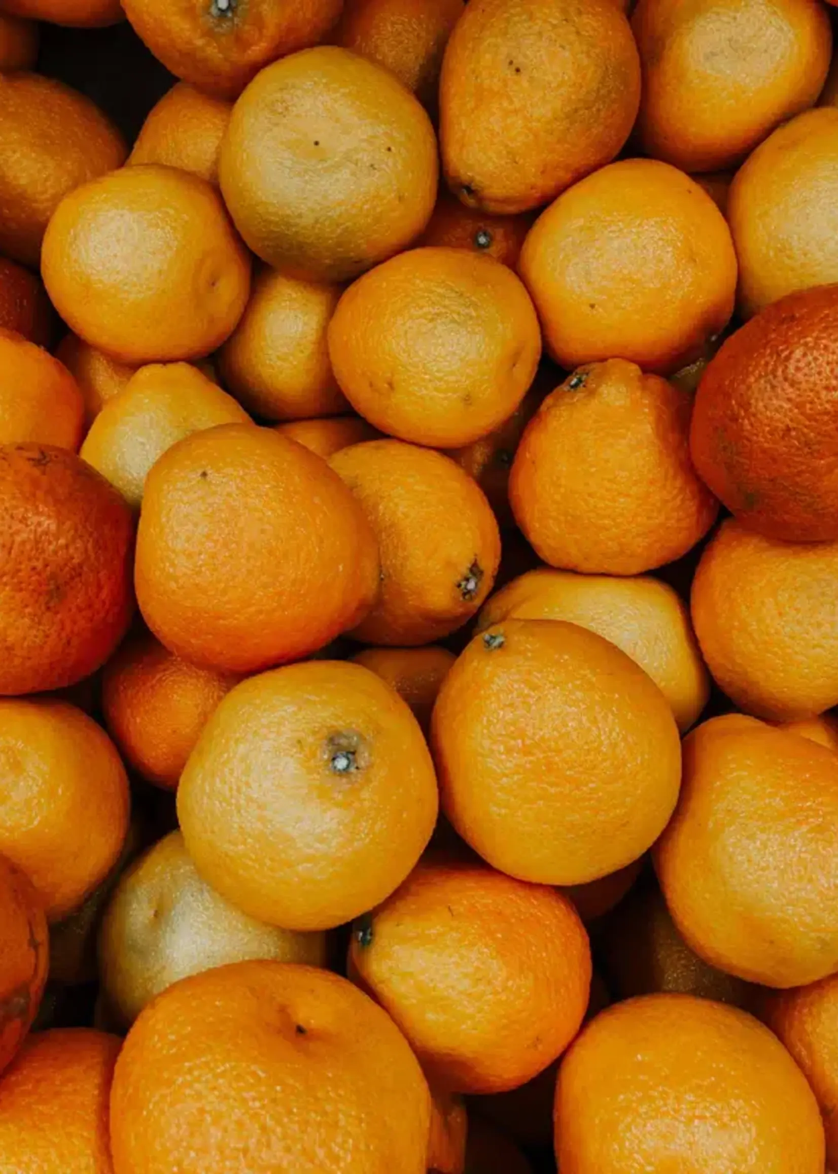 James Street Co. CITRON + OLIVE LEAF Candle