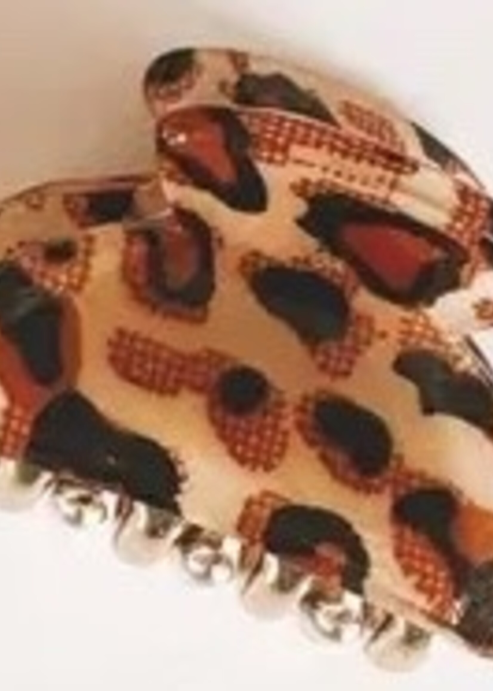 Kitten Claws Clips Mini Claw Clips