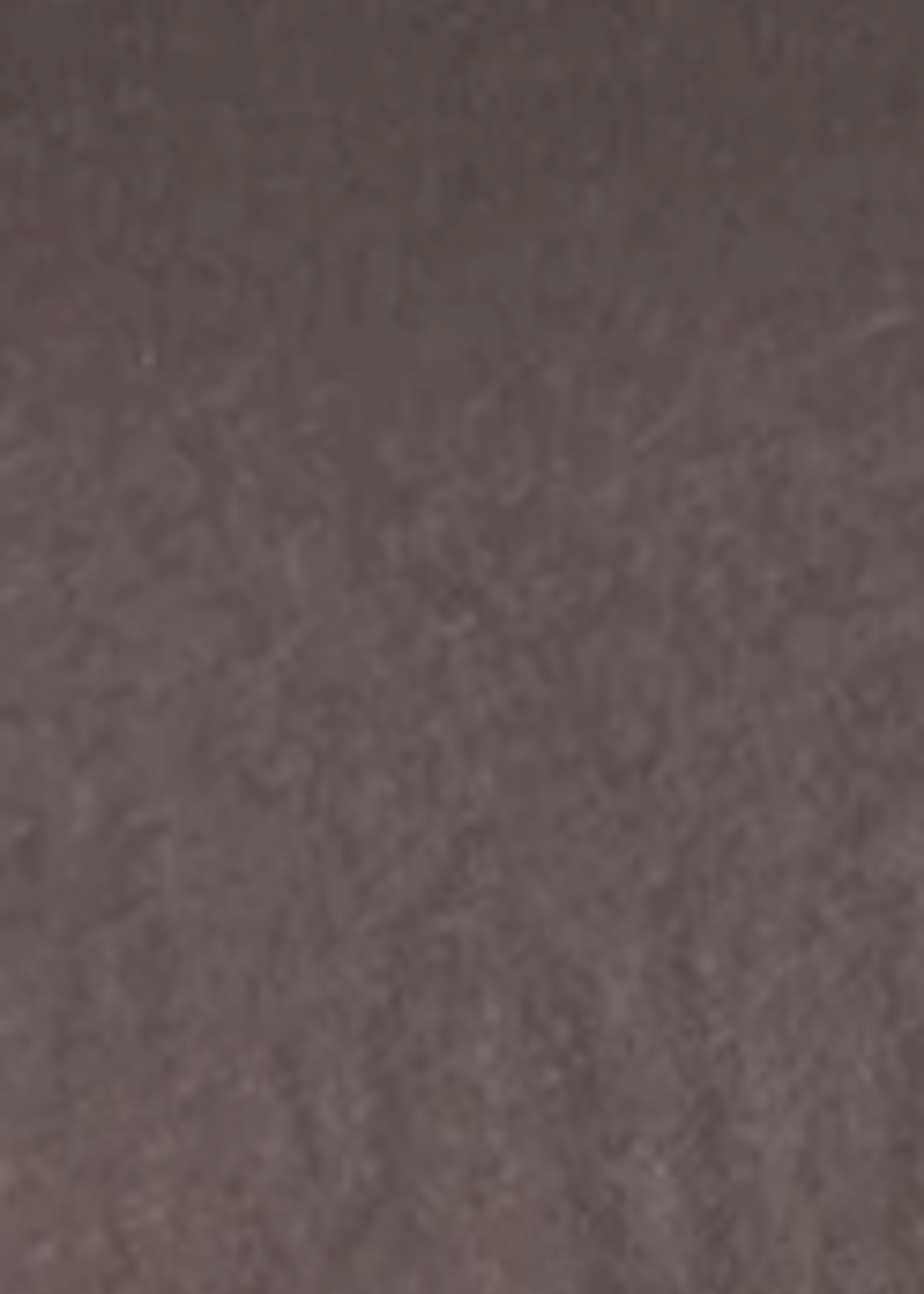 Free People Nina Tee