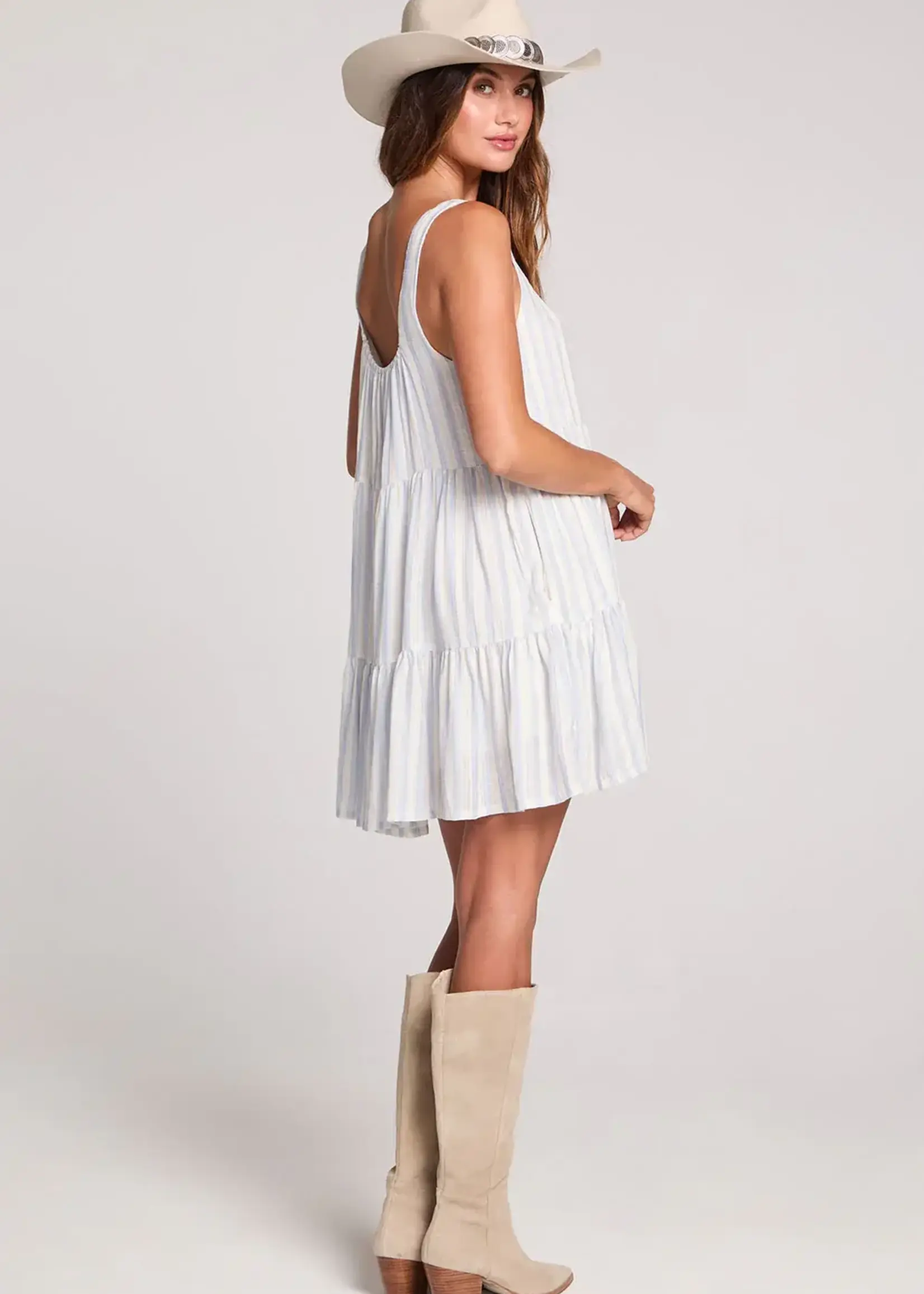 Saltwater Luxe Laurent Mini Dress