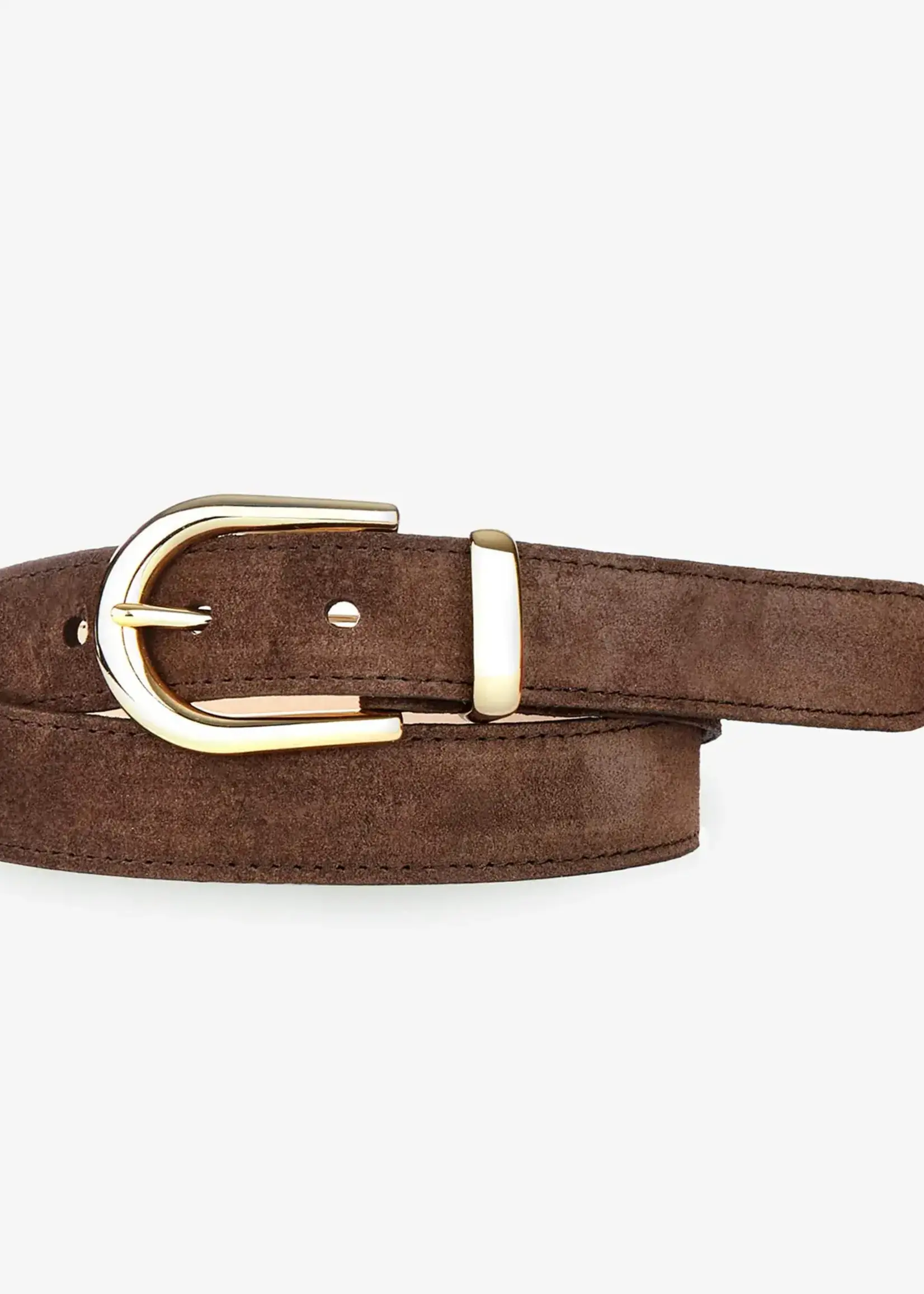BRAVE Leather Lysander Castoro Suede Belt