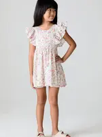 Saltwater Luxe Brammie Mini Dress