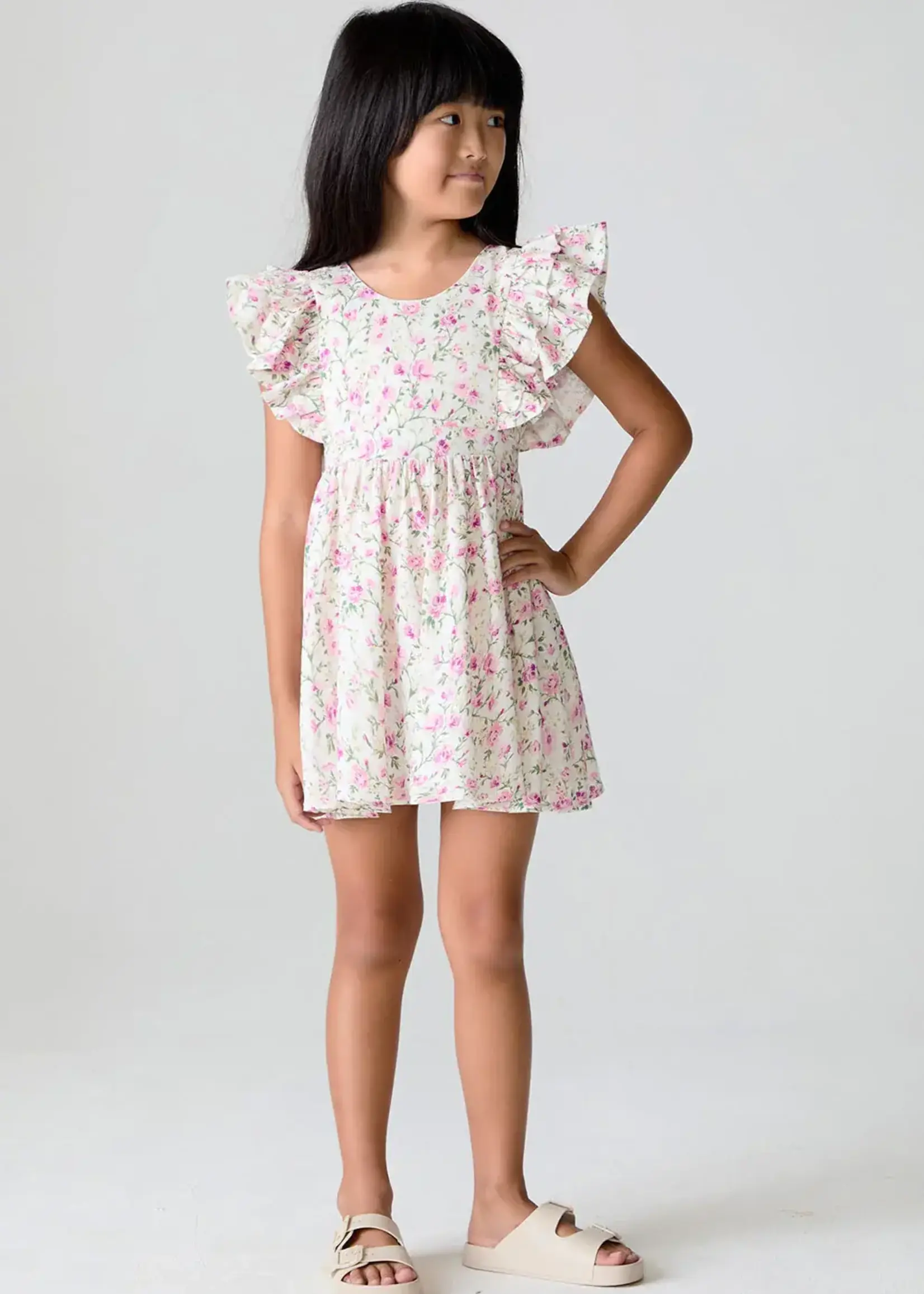 Saltwater Luxe Brammie Mini Dress