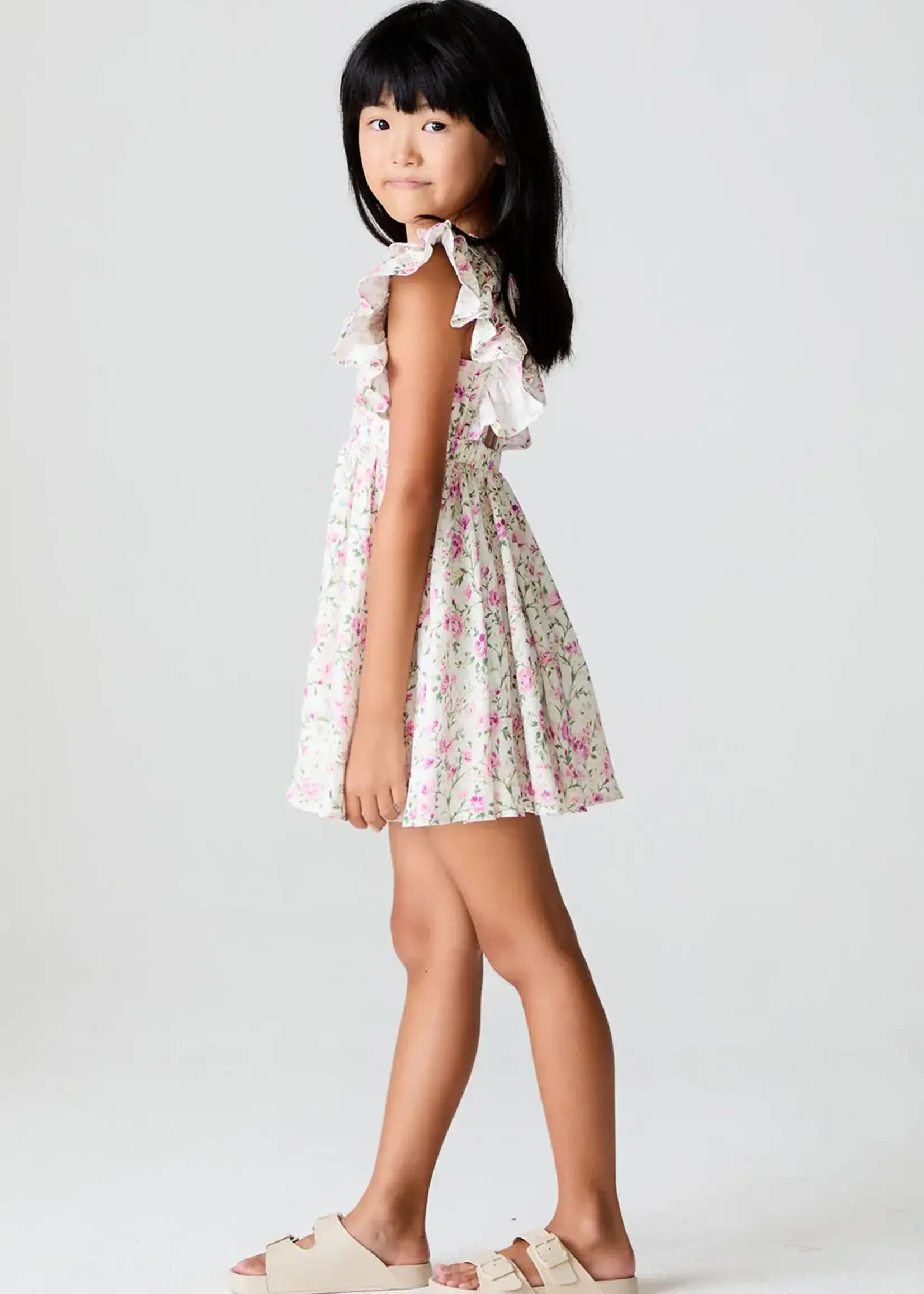 Saltwater Luxe Brammie Mini Dress