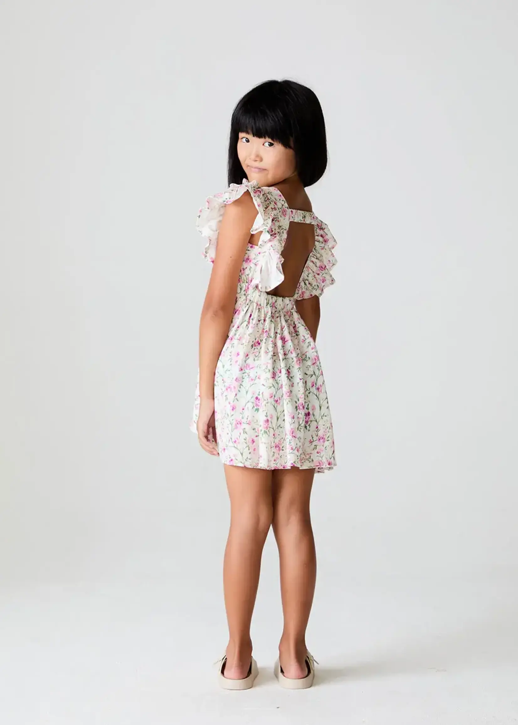 Saltwater Luxe Brammie Mini Dress
