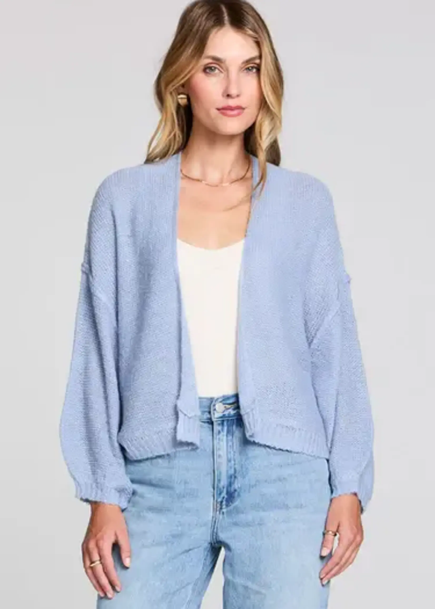 Saltwater Luxe Aden Sweater