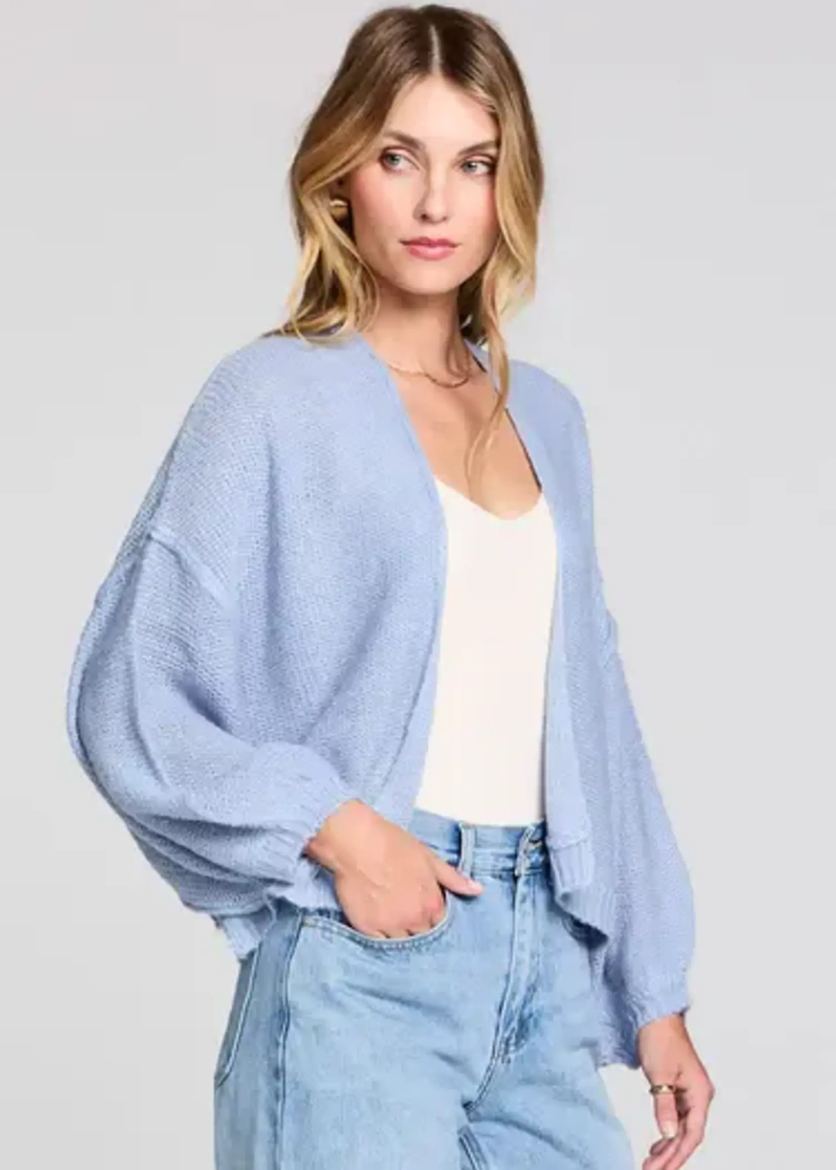 Saltwater Luxe Aden Sweater