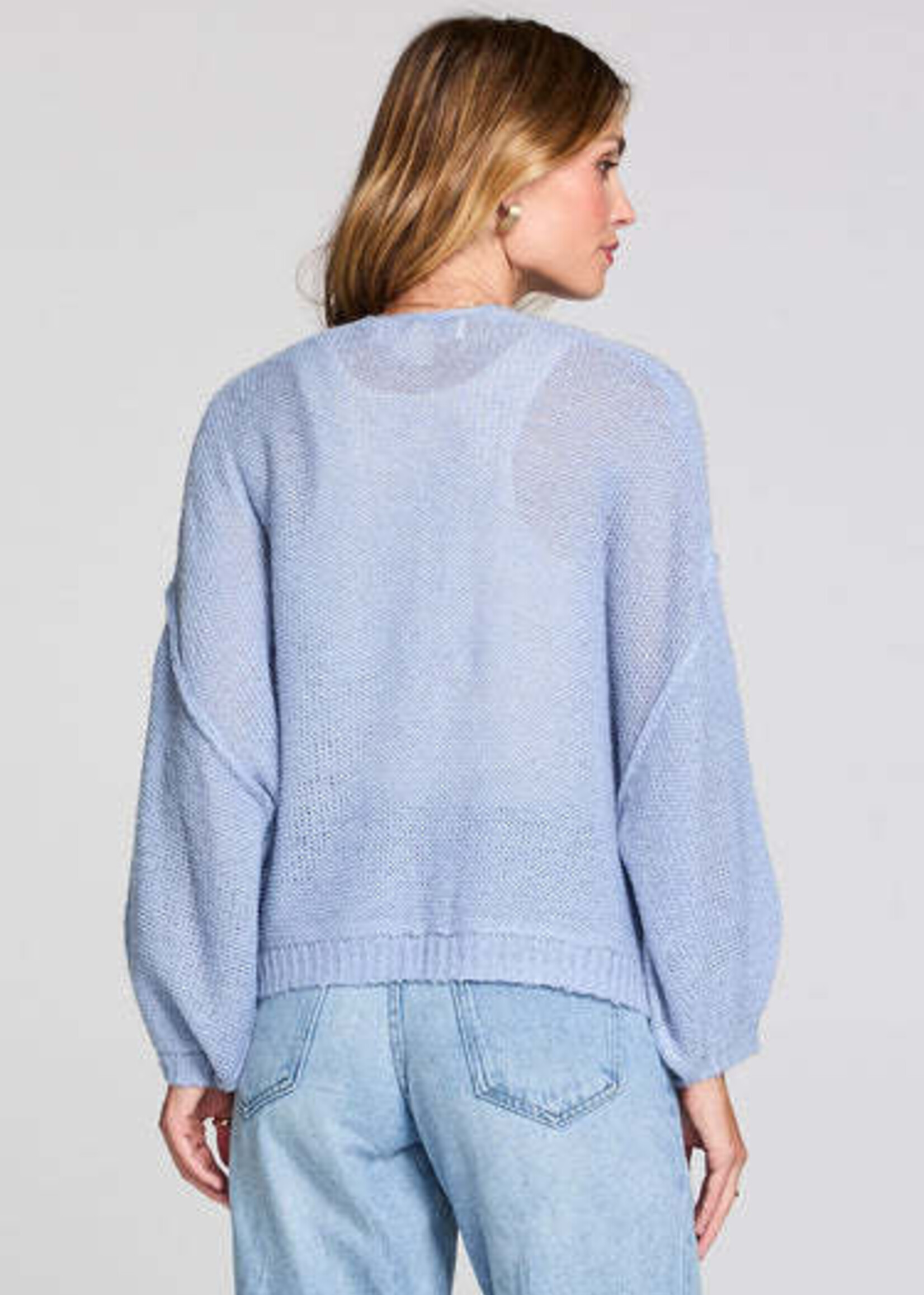 Saltwater Luxe Aden Sweater