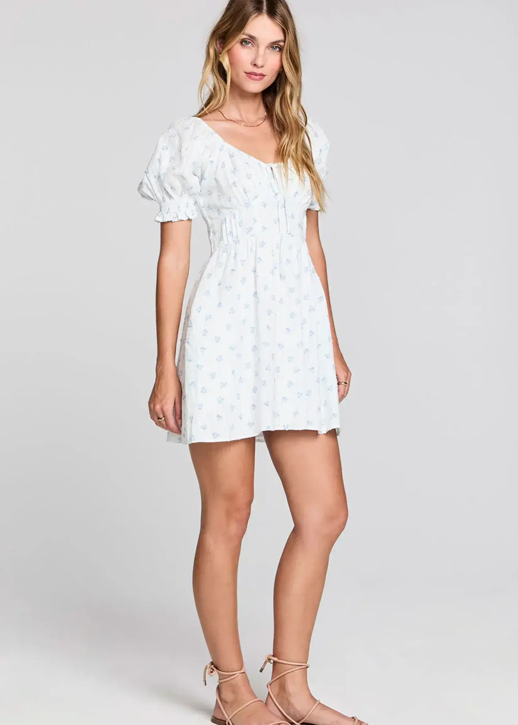 Saltwater Luxe Alaysia Mini Dress