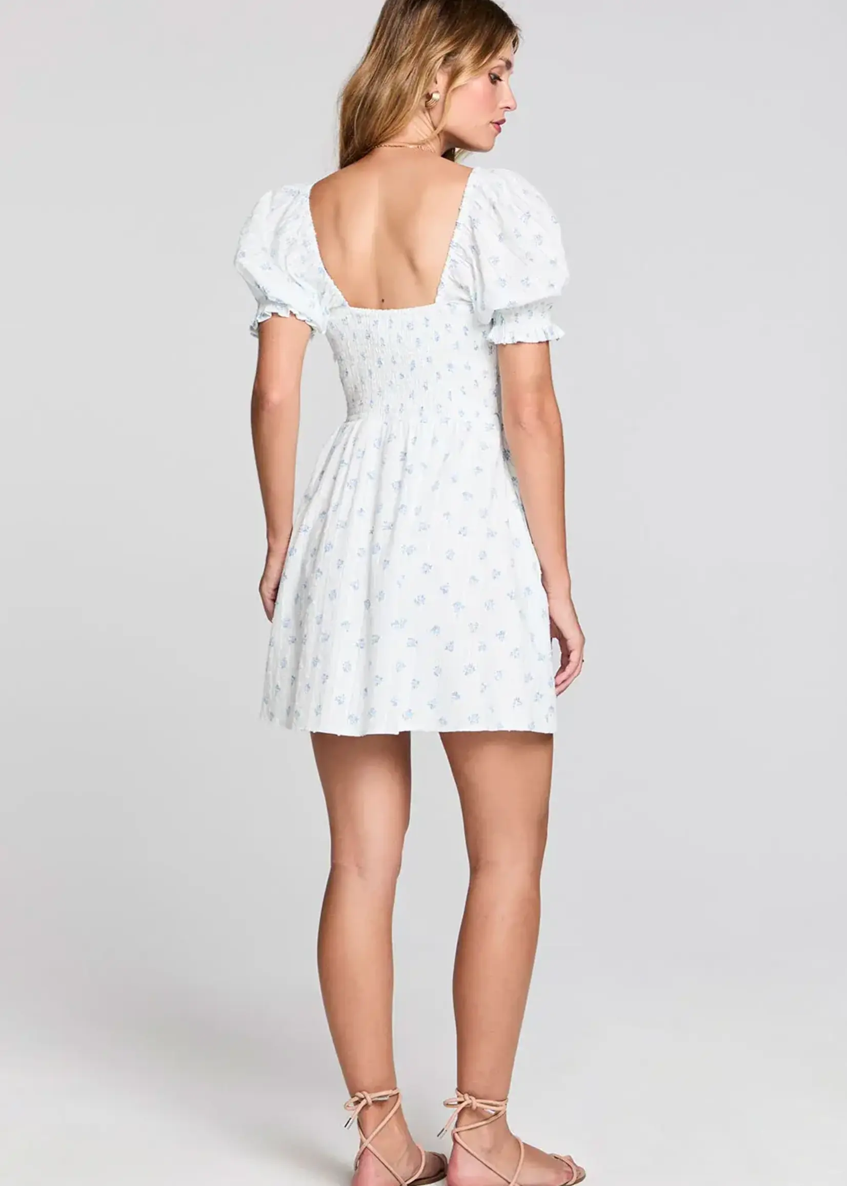 Saltwater Luxe Alaysia Mini Dress