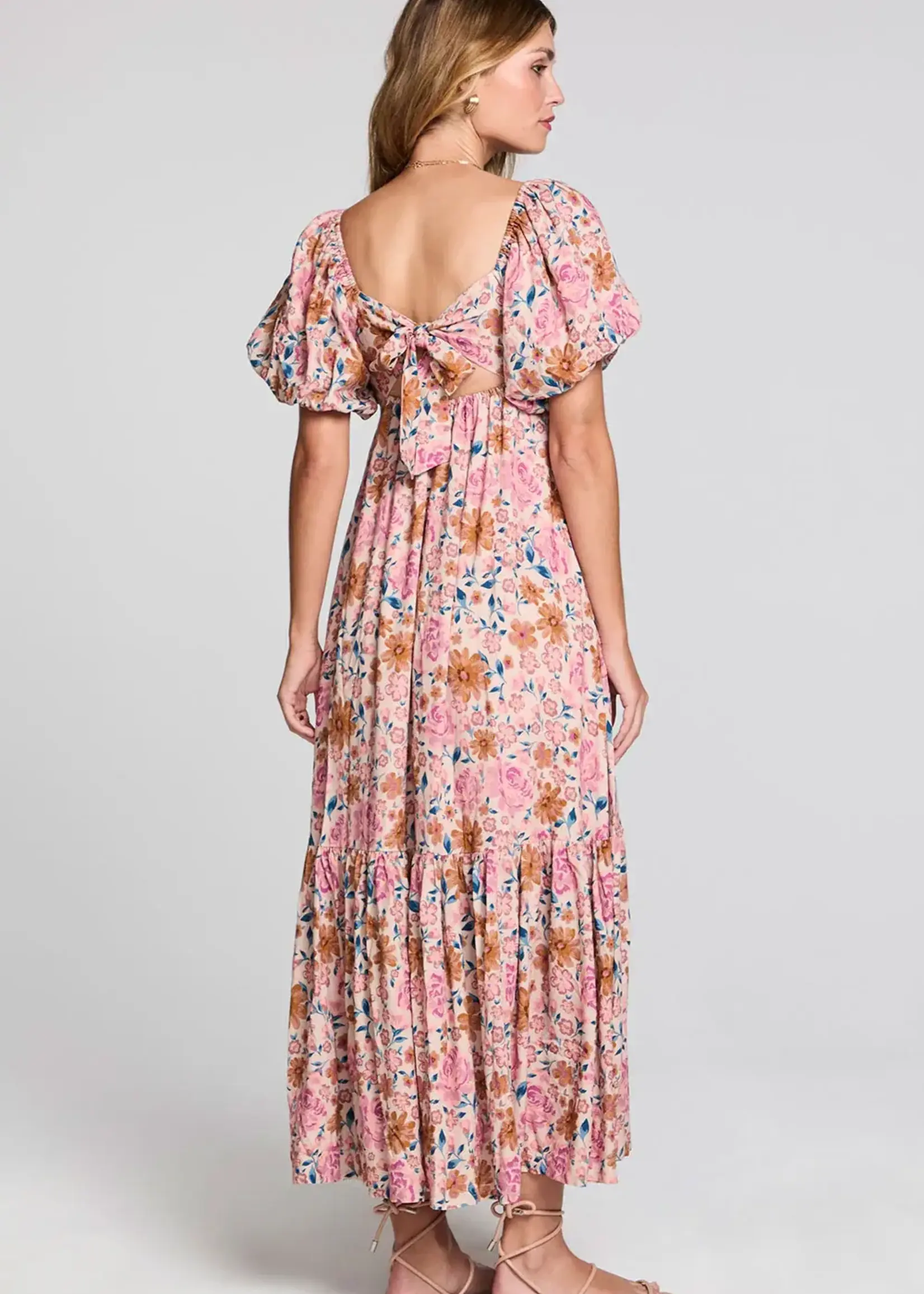 Saltwater Luxe Evra Maxi Dress