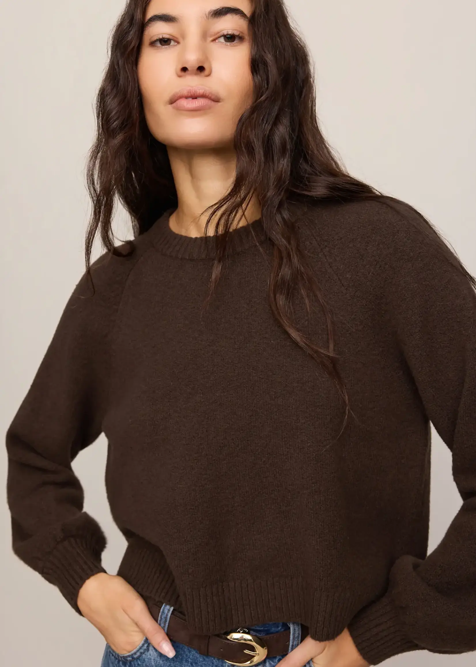 Z SUPPLY Coming Up Sweater